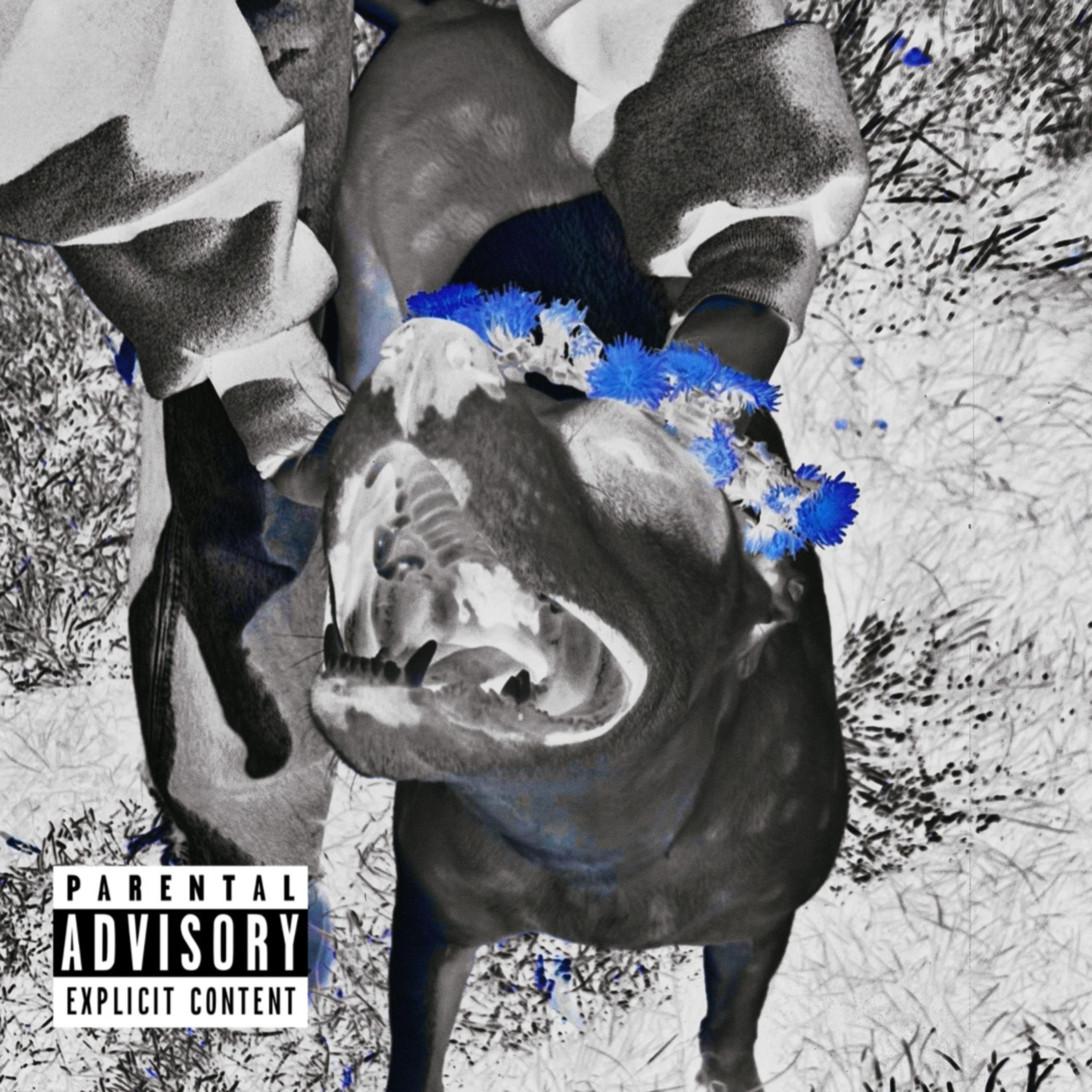 WokeUpByAWindow artwork