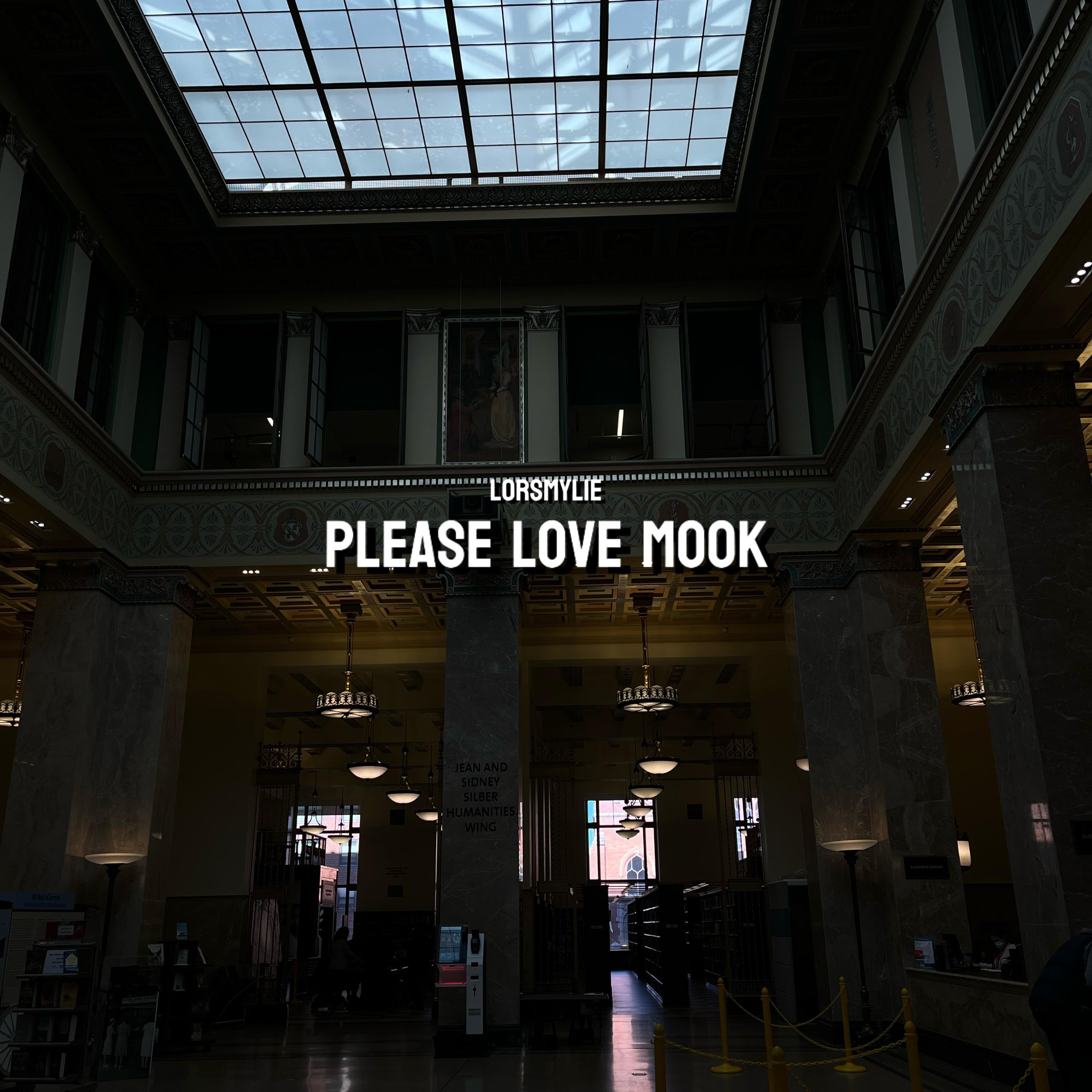 PLEASE LOVE MOOK artwork
