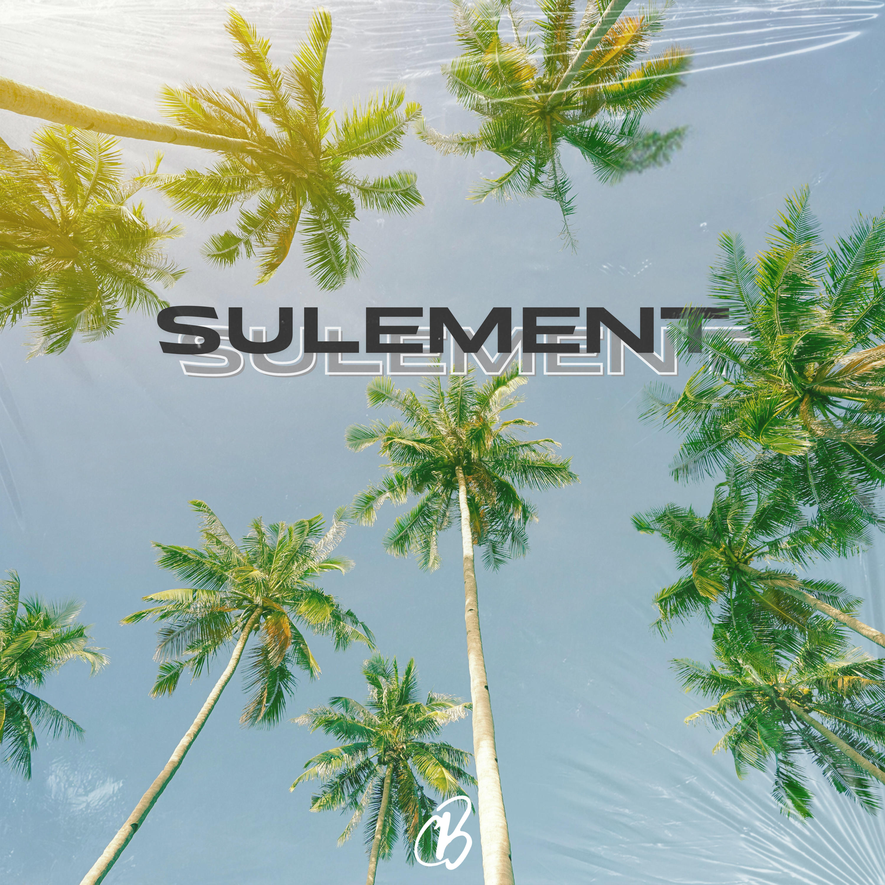 Sulement (Sorry 4 The Wait) artwork