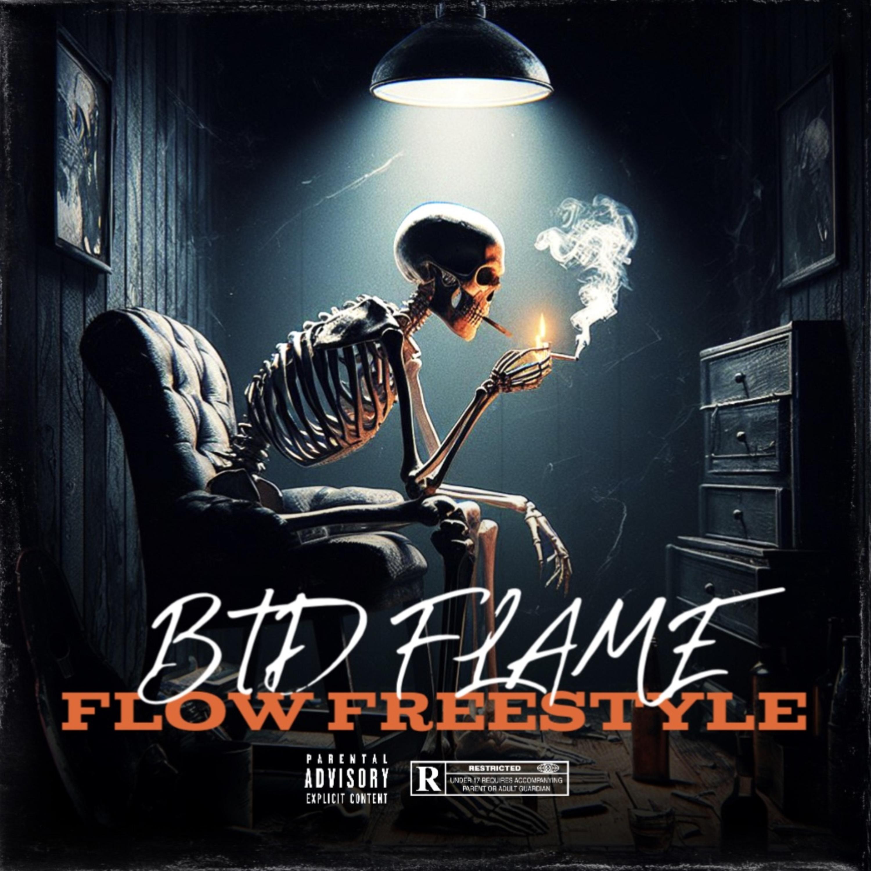 Flow Freestyle artwork