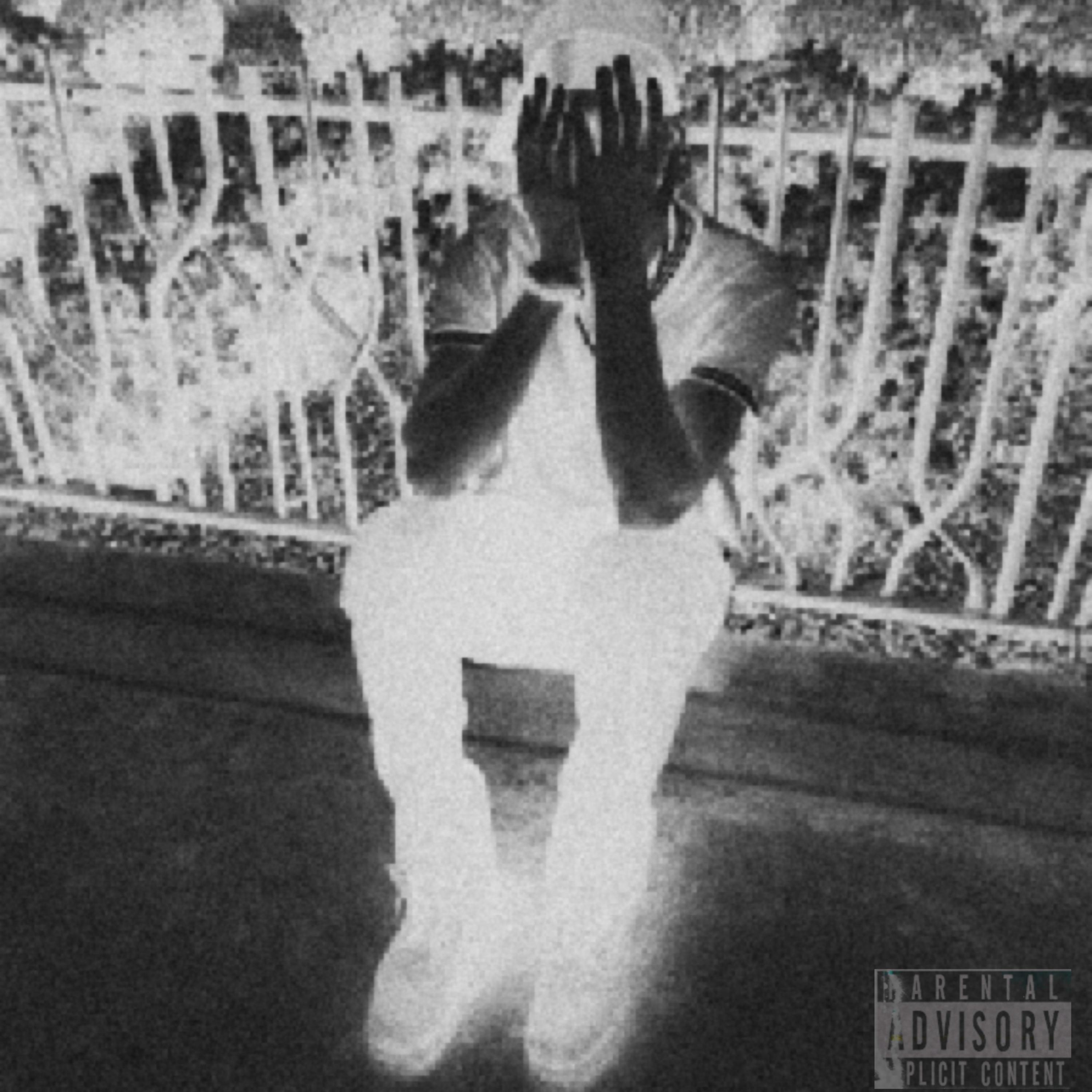 bac in dis btc artwork