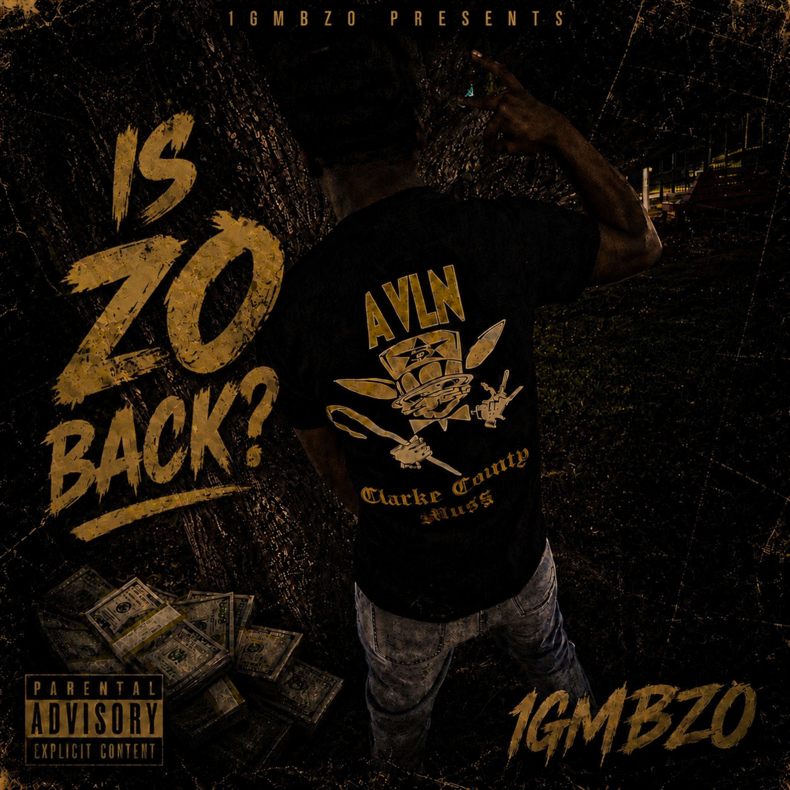 is zo back? by 1gmbzo cover art