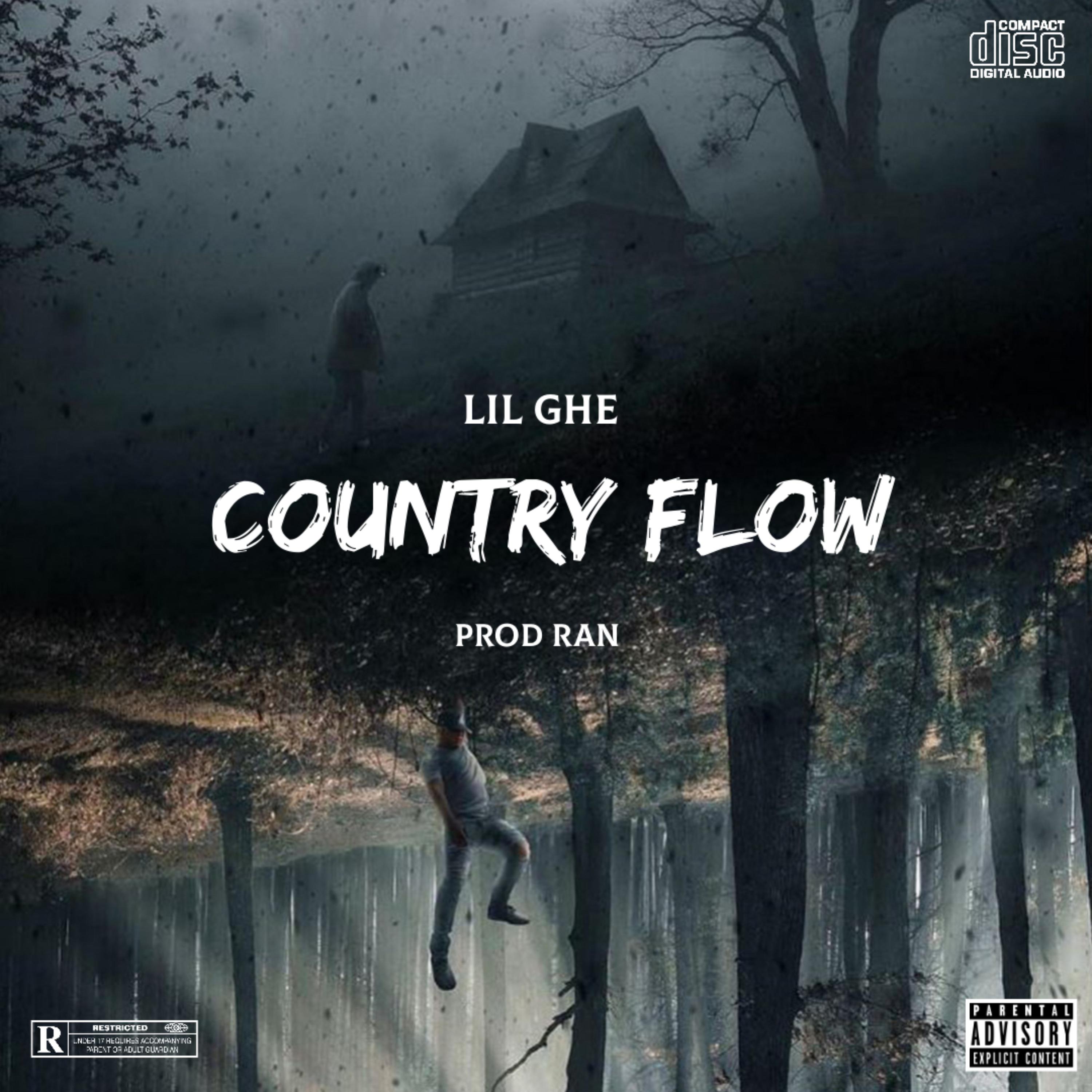 Country Flow artwork