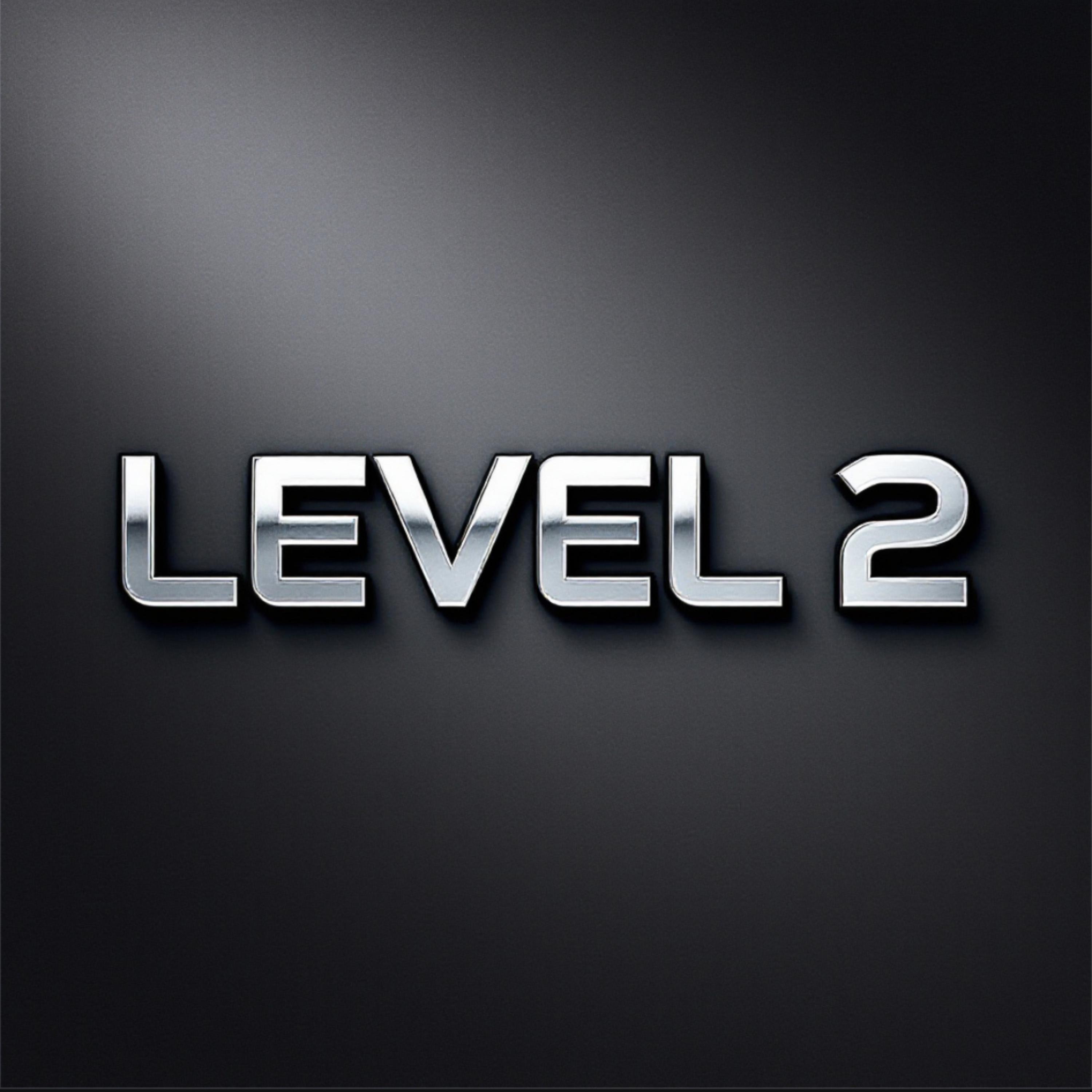 LEVEL2 artwork
