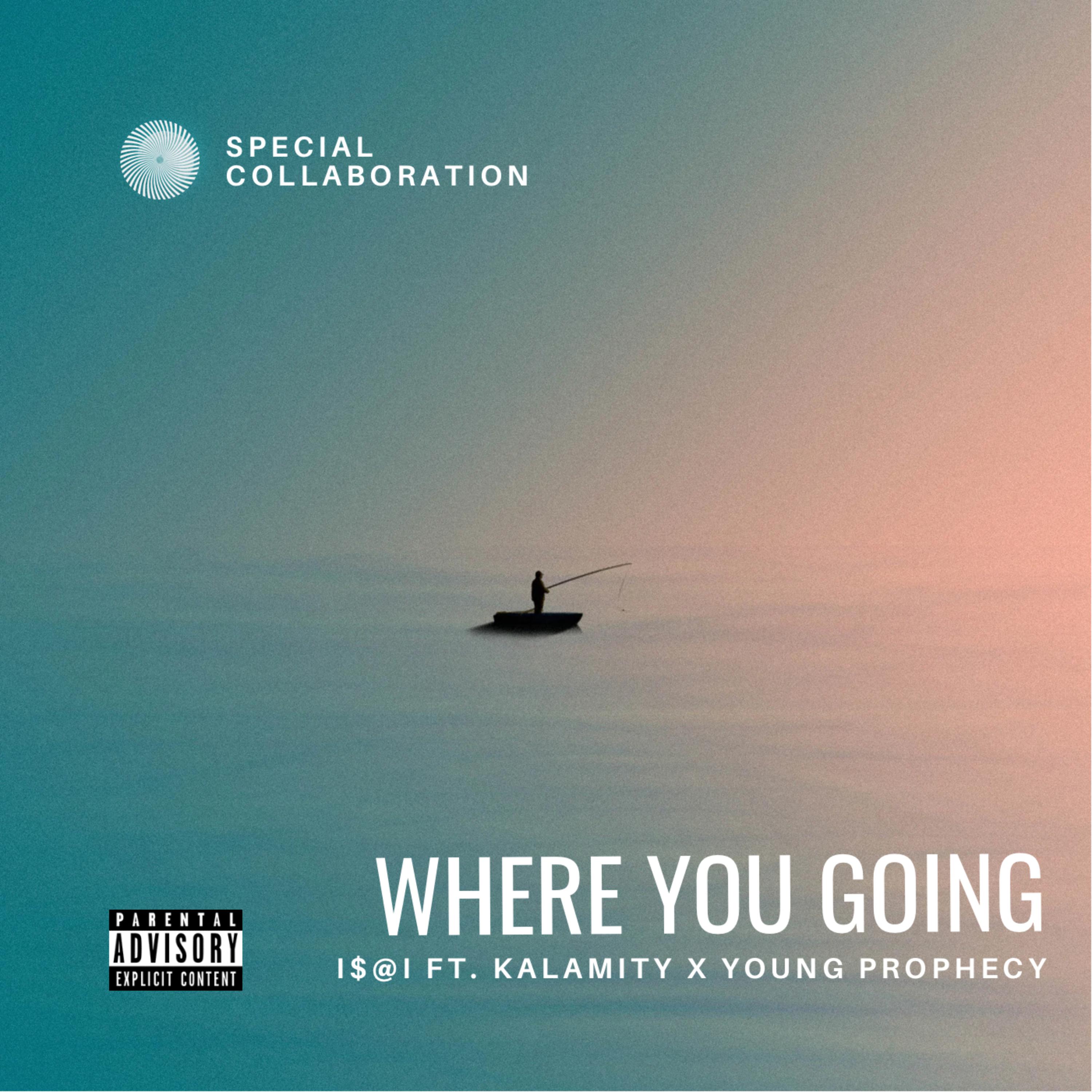 Where you Going? artwork