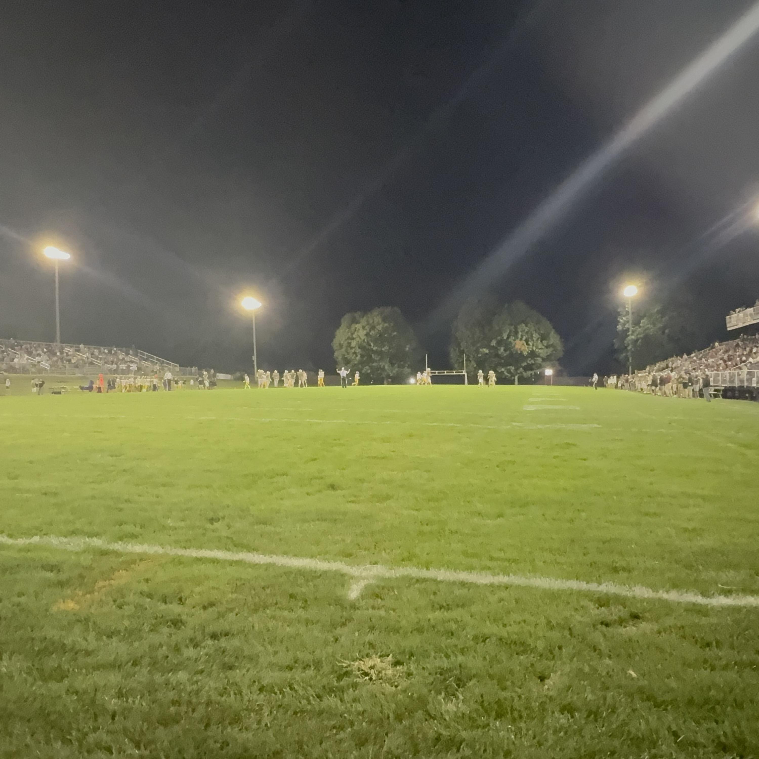 IN MY PERFECT WORLD artwork