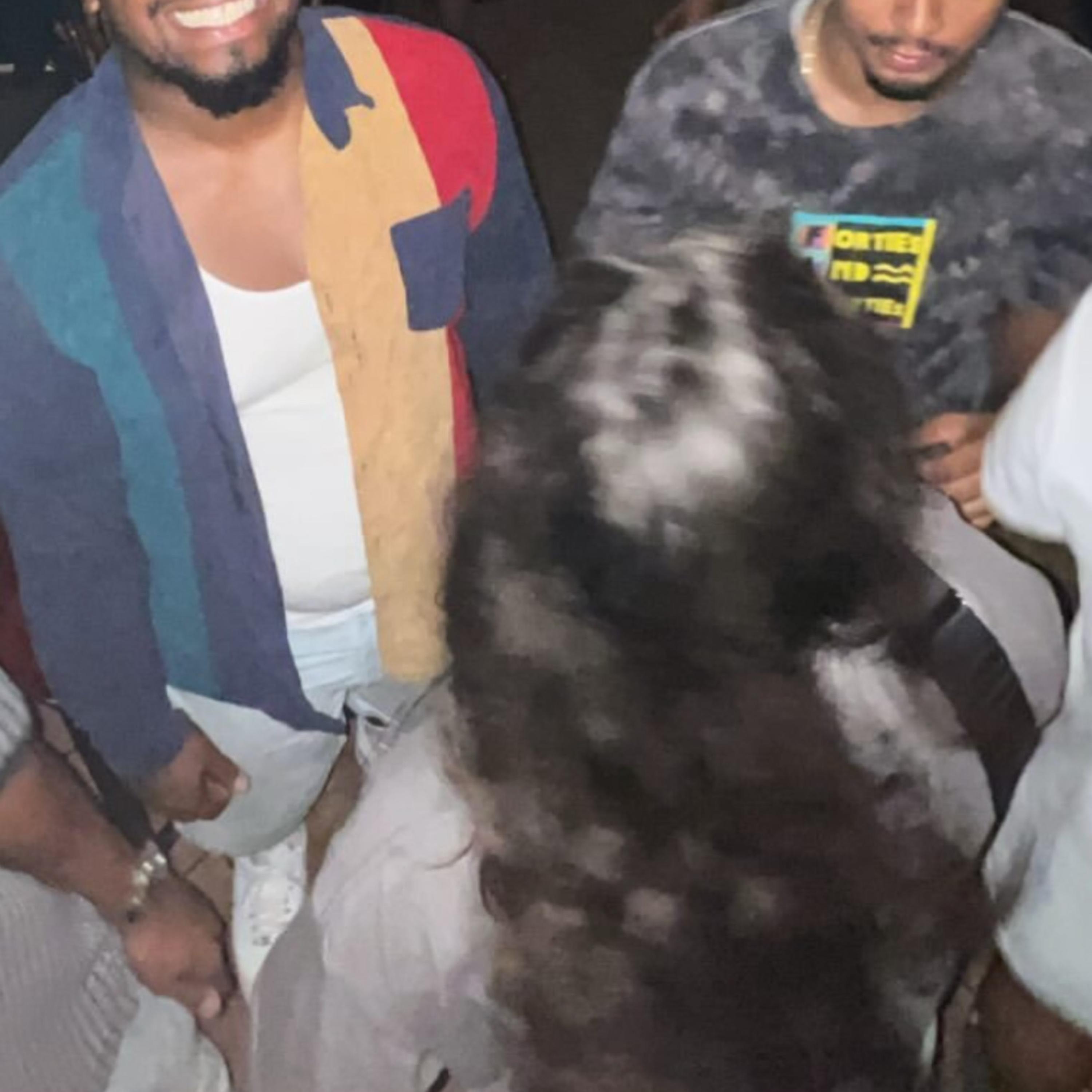 bad bitches break hearts 3 artwork