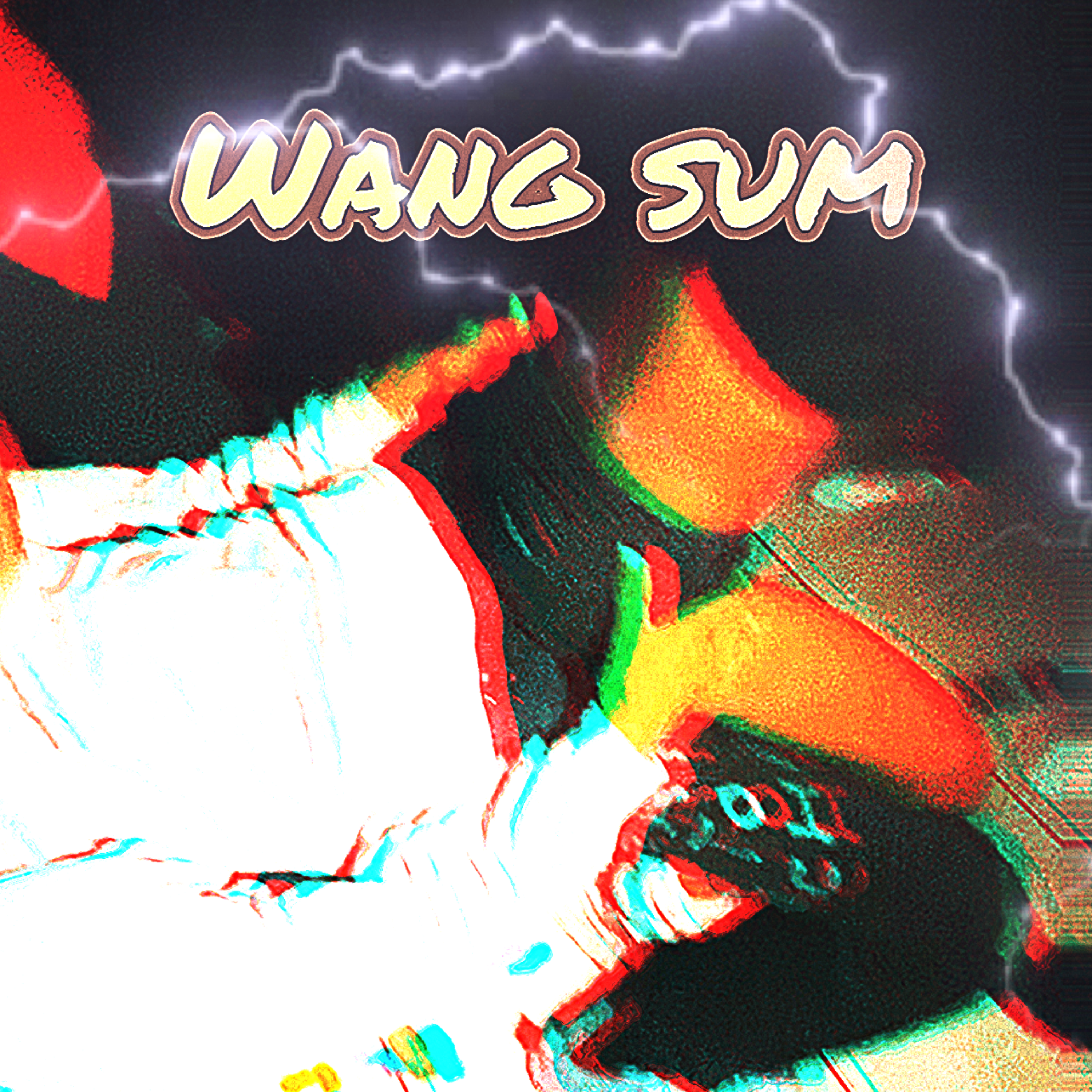 Wang Sum artwork