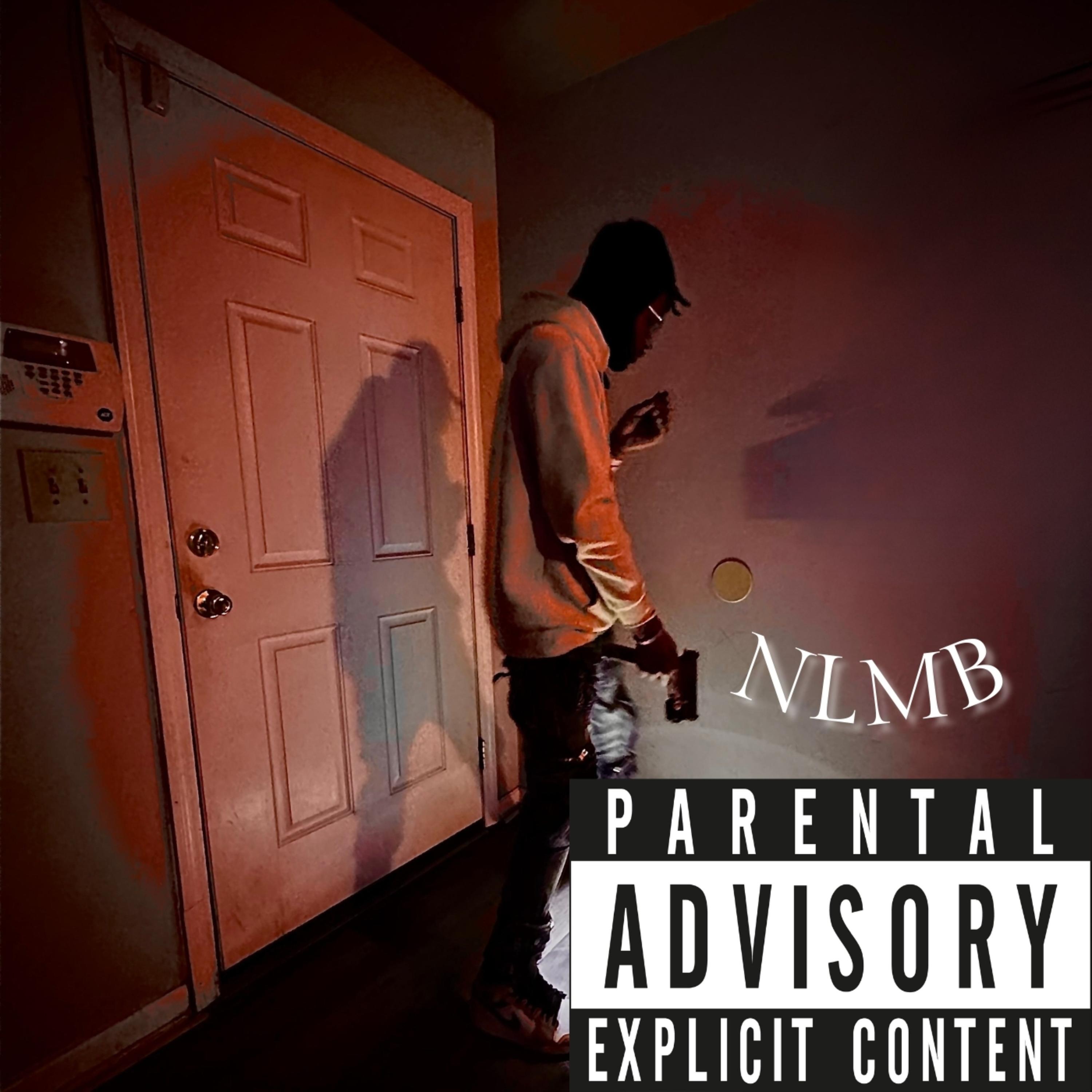 NLMB artwork