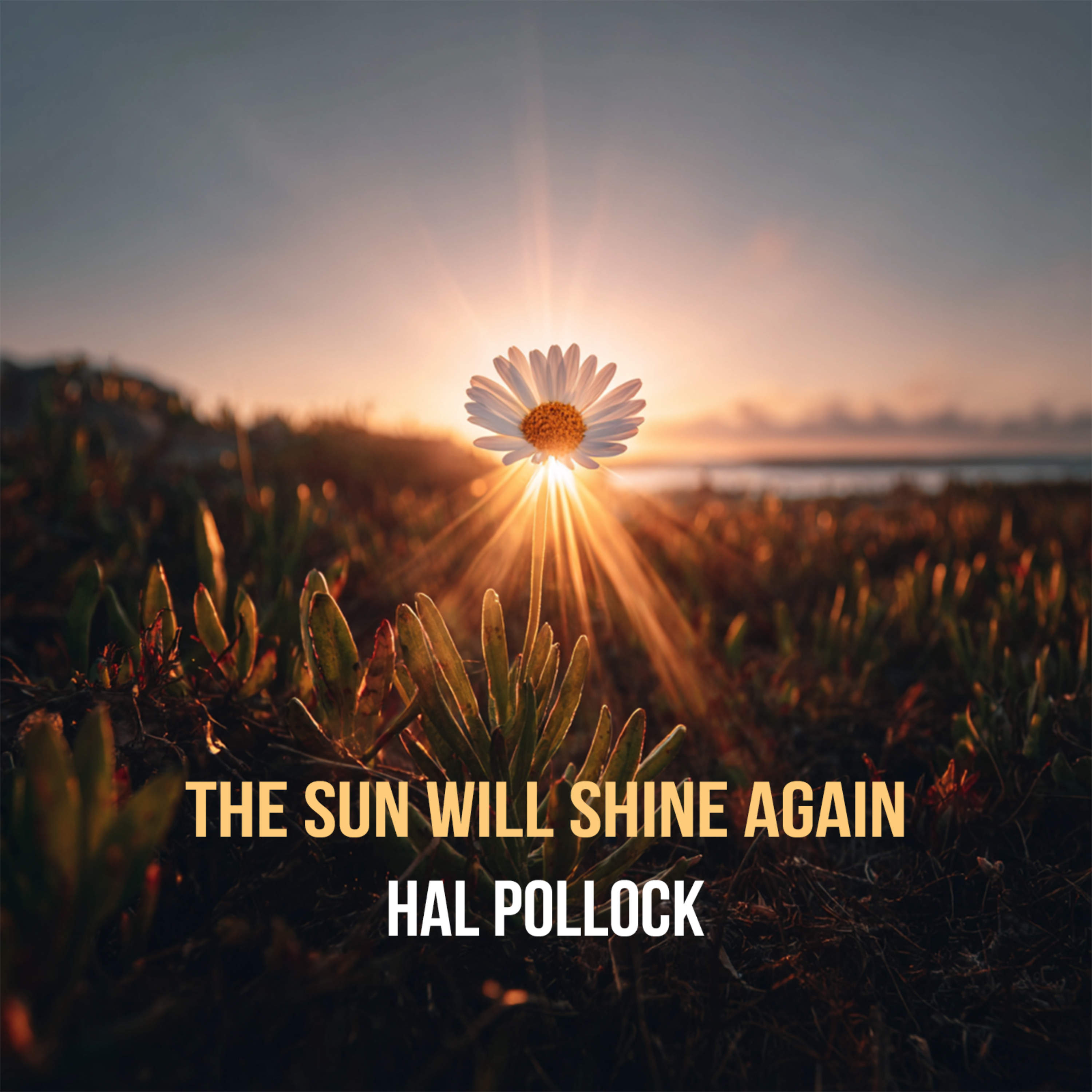 The Sun Will Shine Again by Hal Pollock cover art