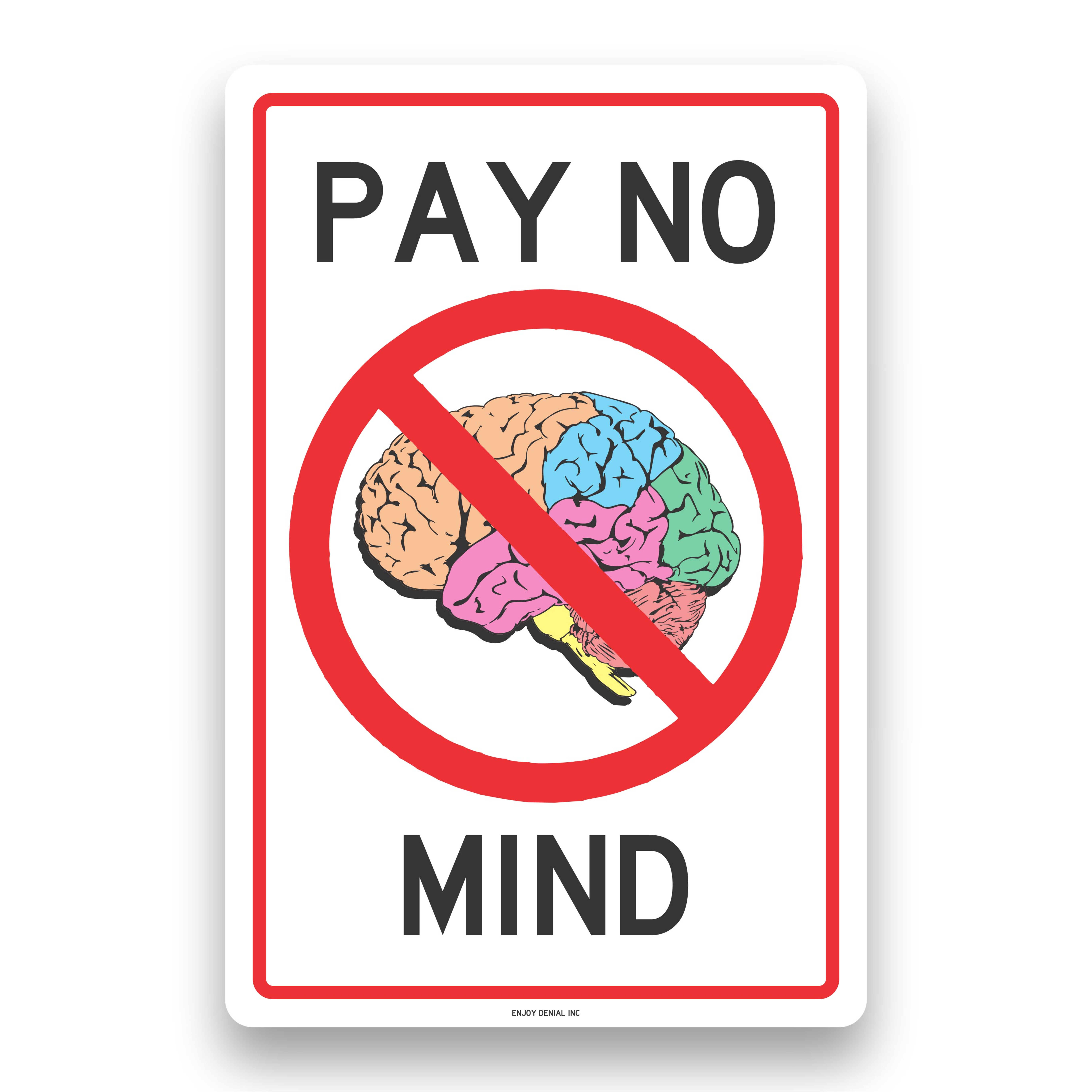 Pay No Mind artwork