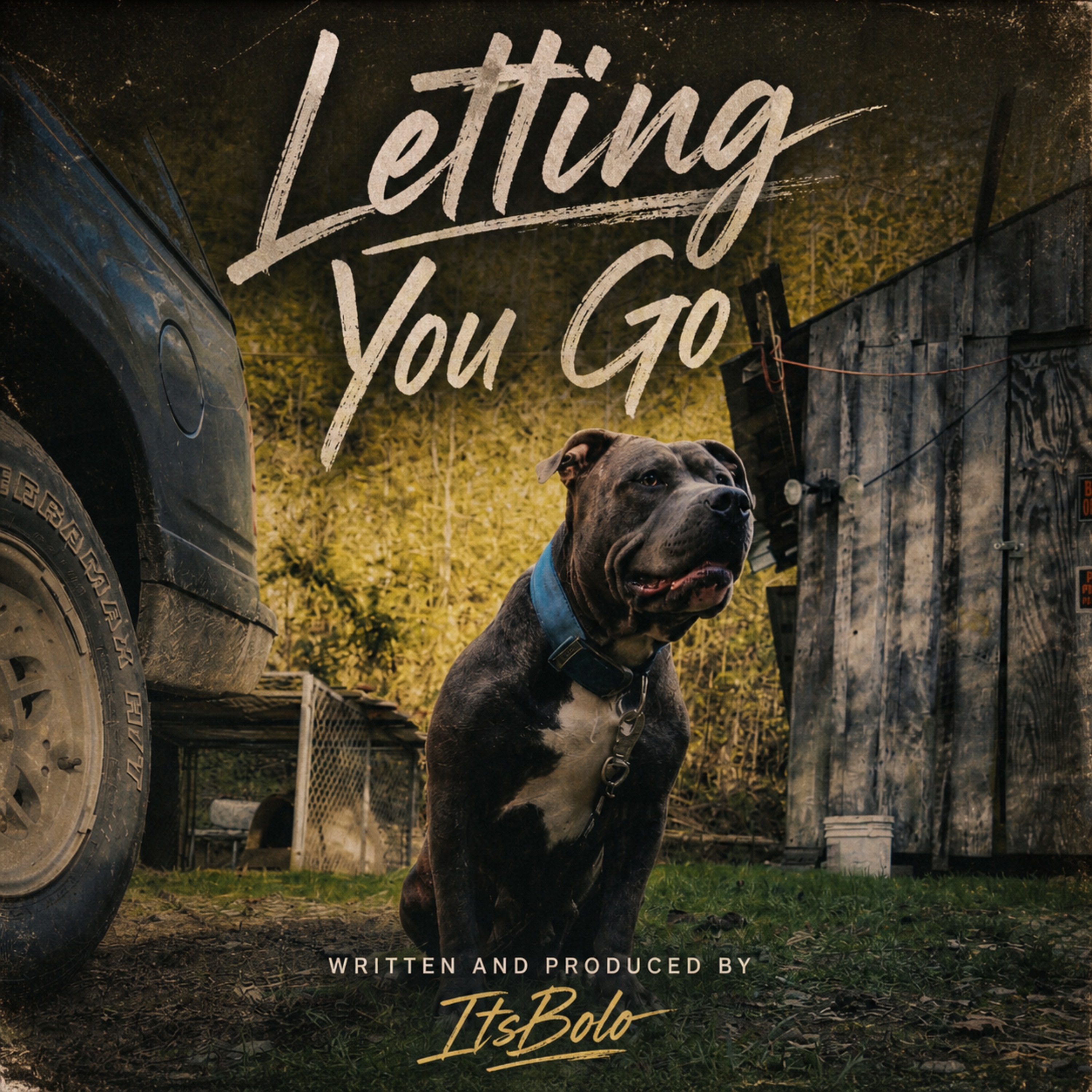 Letting you go artwork