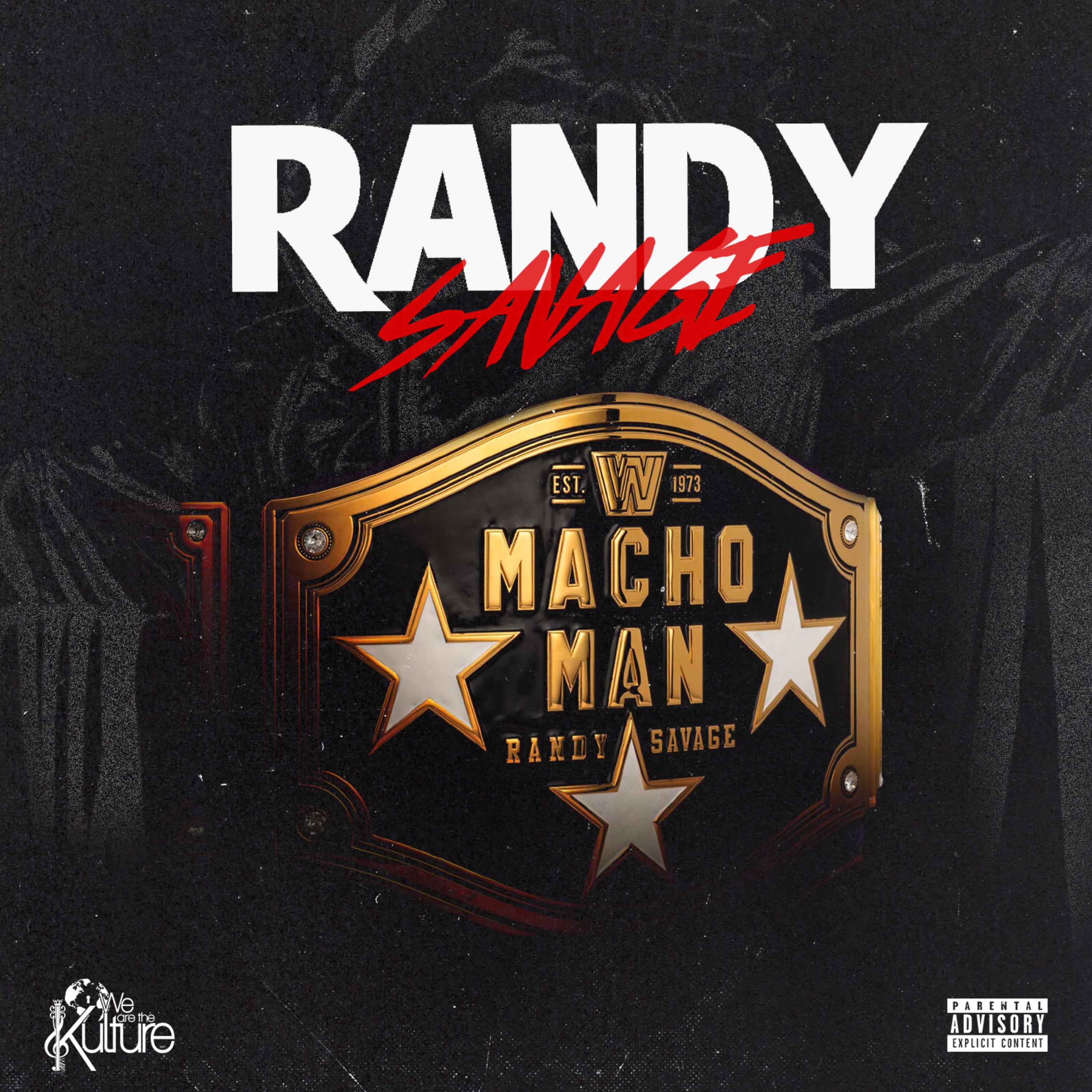 Randy Savage artwork