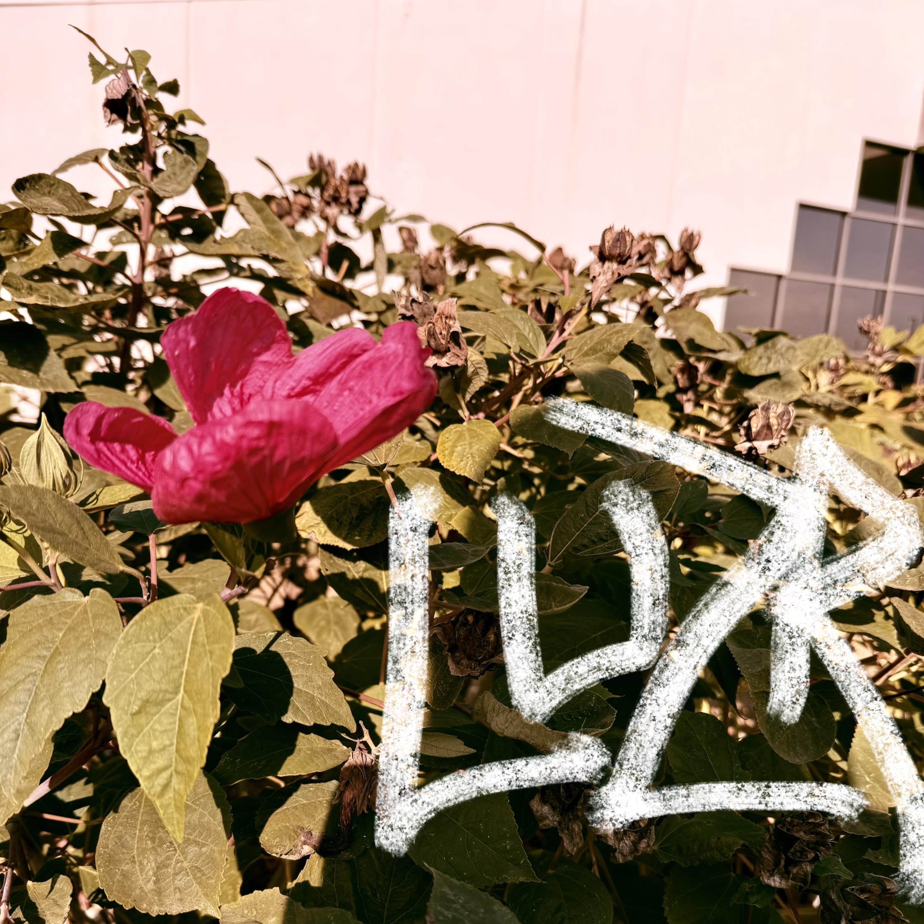 3 Fall Songs artwork