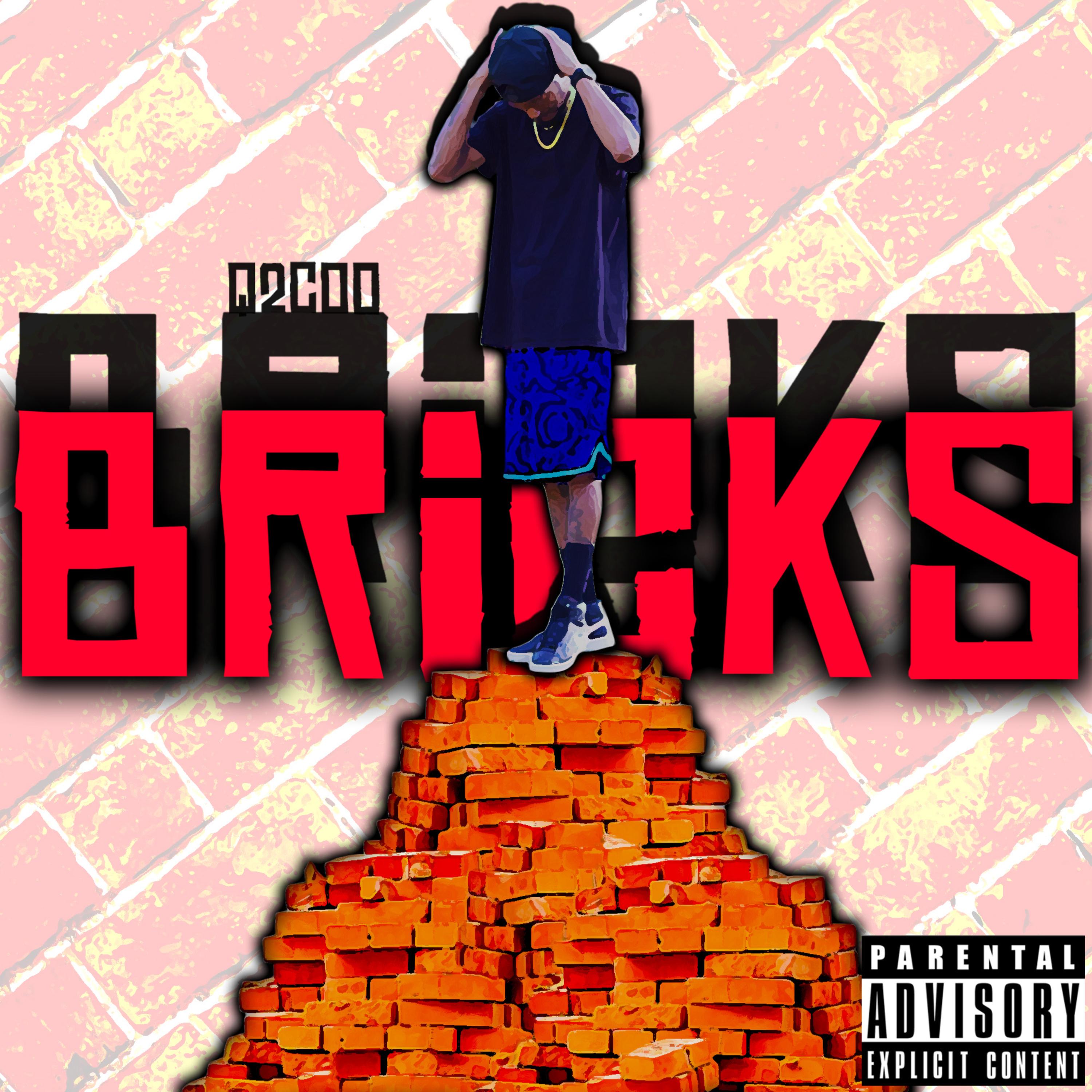 BRiCKS by Q2Coo cover art