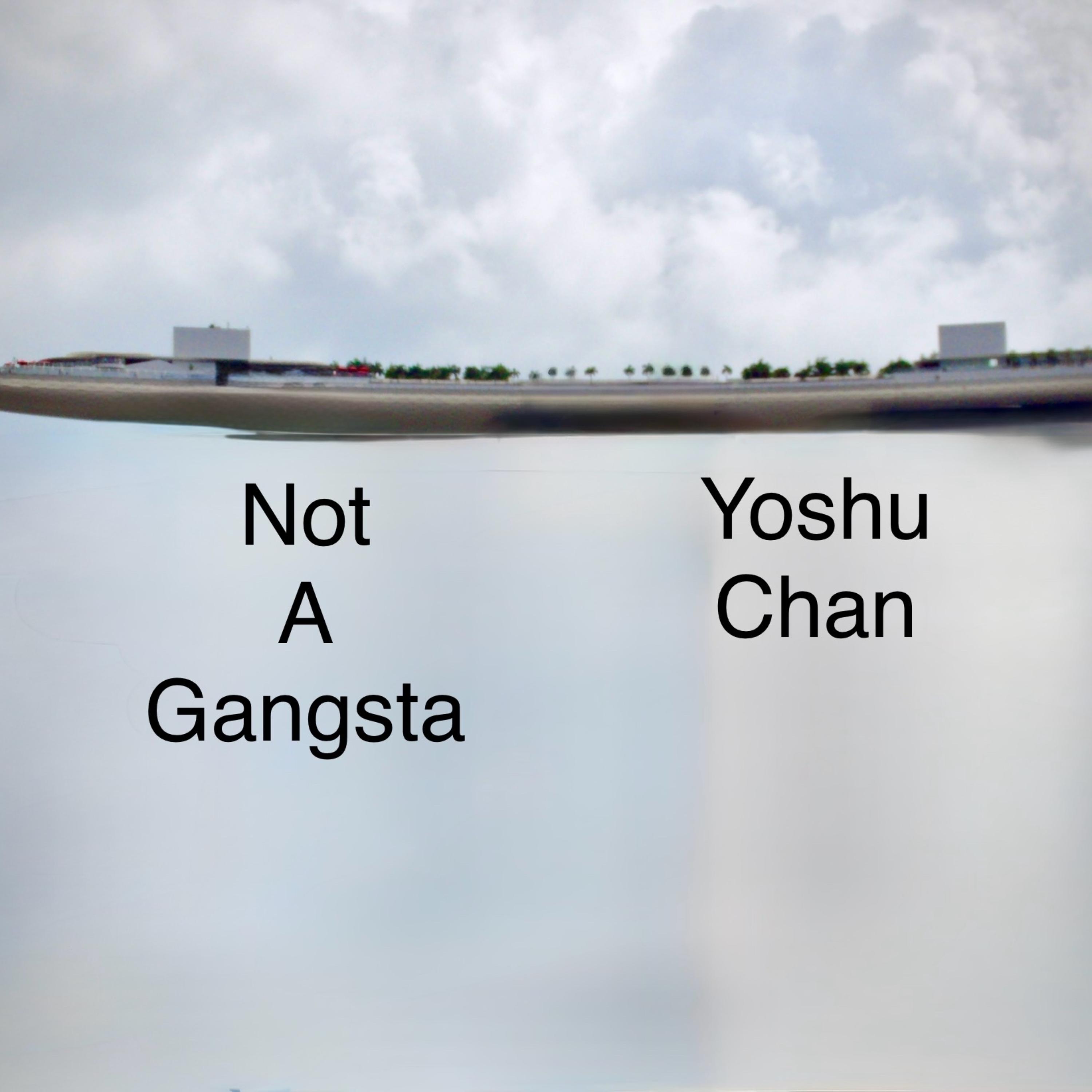 Not A Gangsta artwork