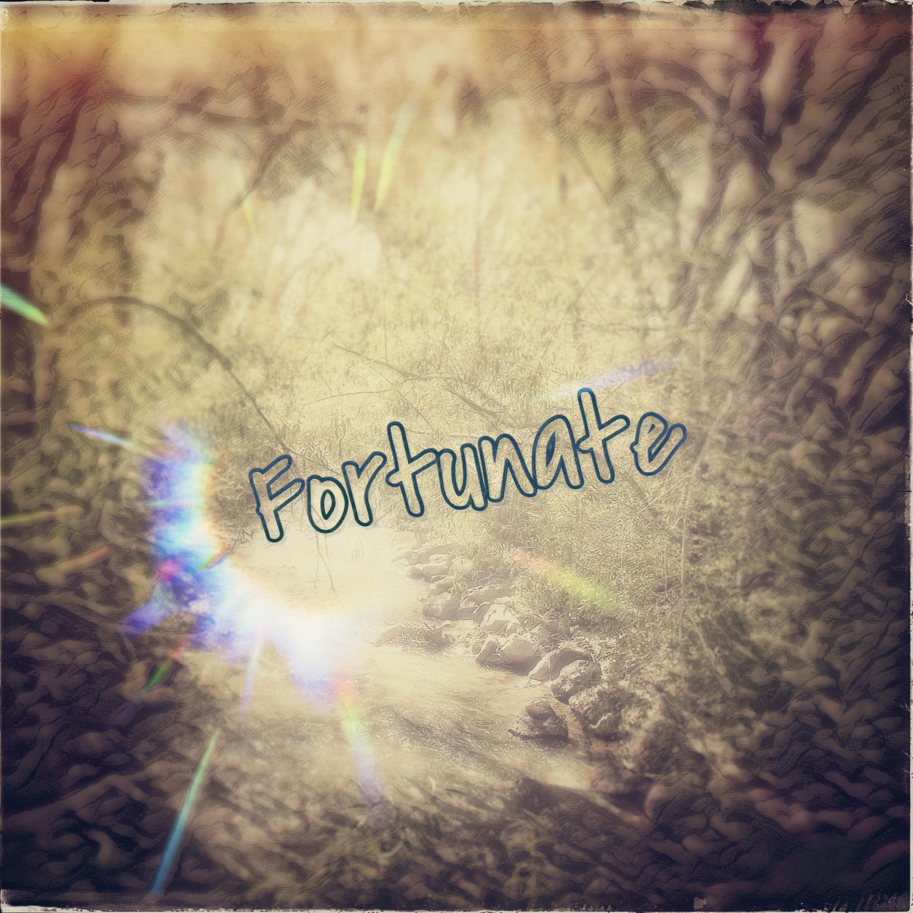 Fortunate artwork