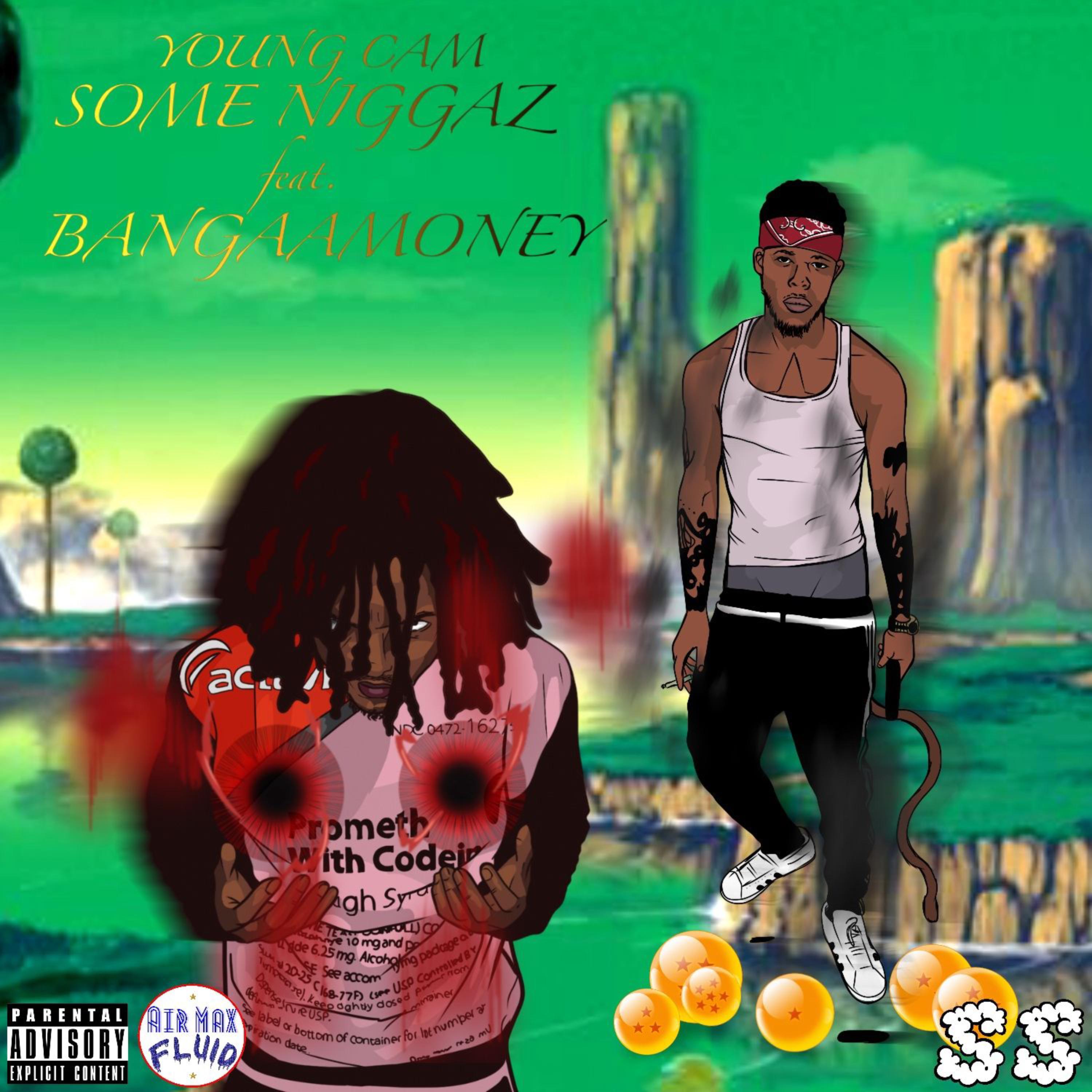 Some Niggaz artwork