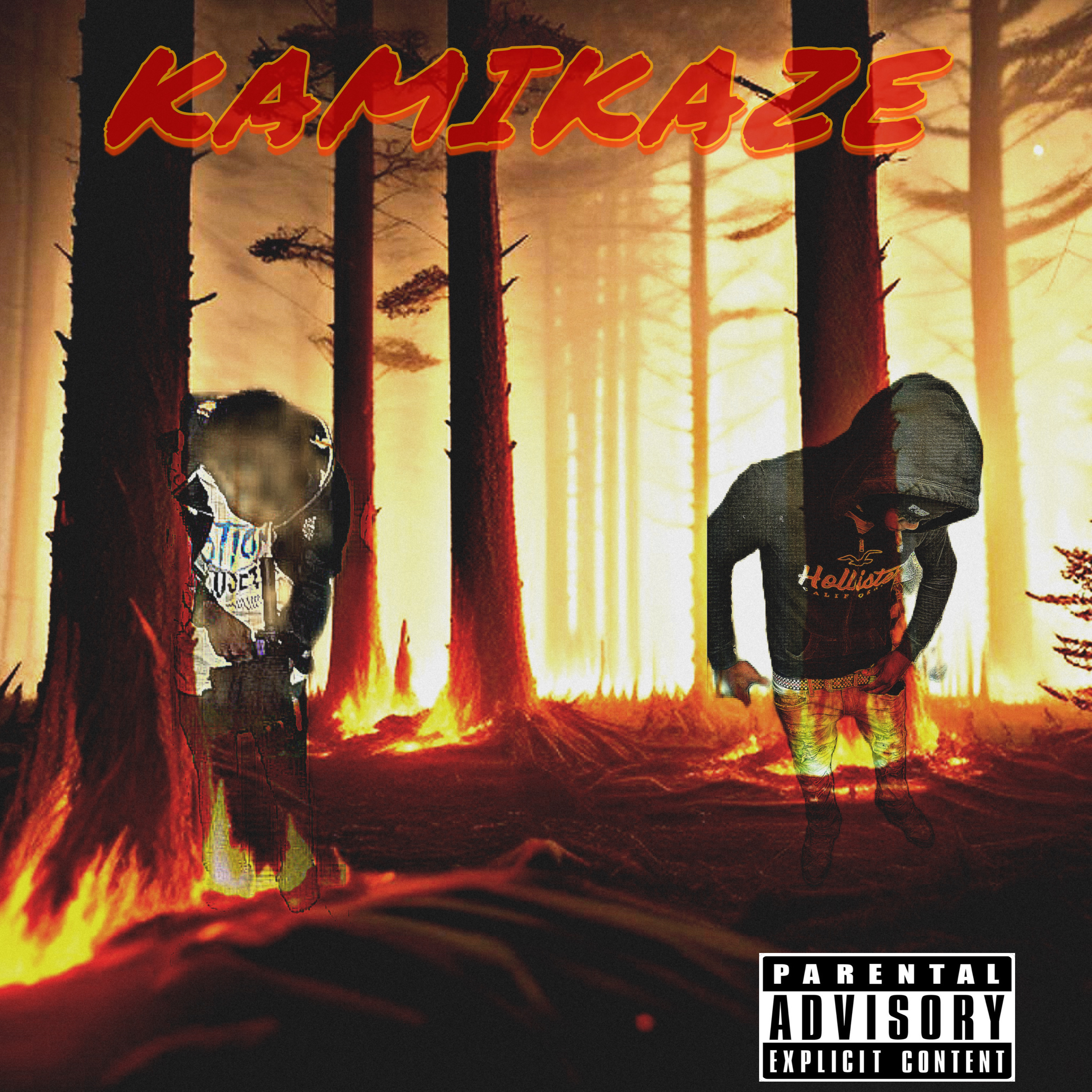 Kamikaze artwork