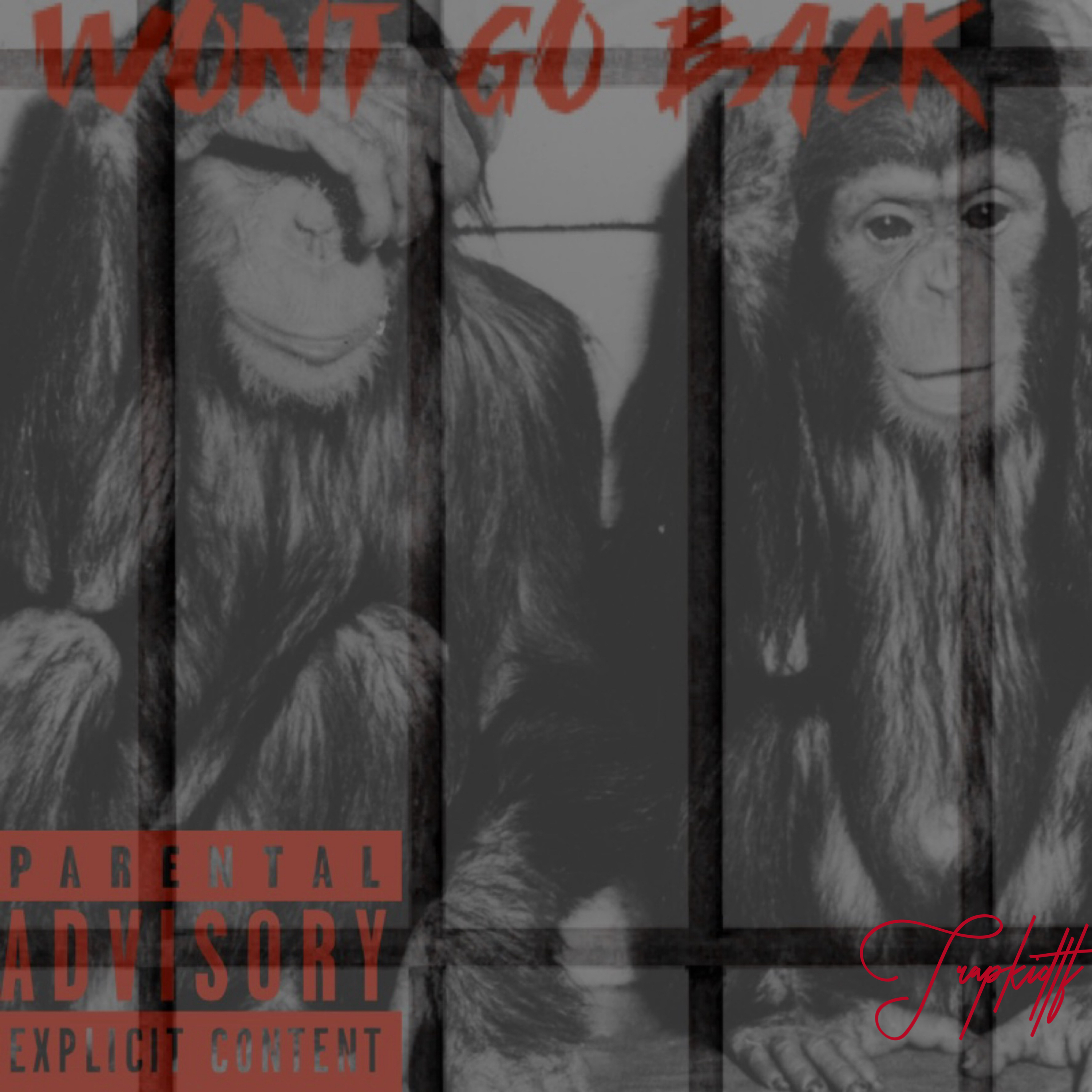 Wont Go Back artwork