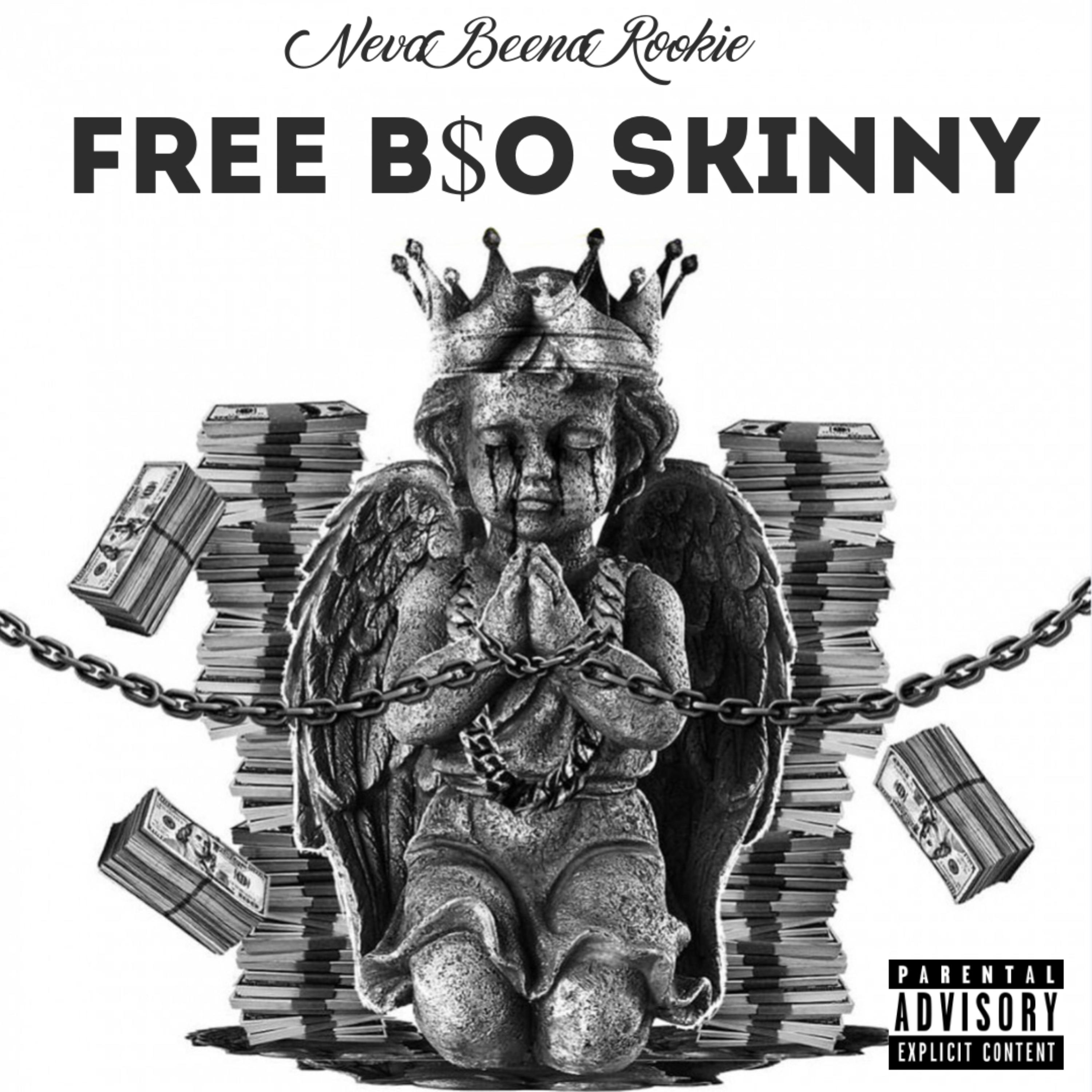 Free B$O Skinny artwork