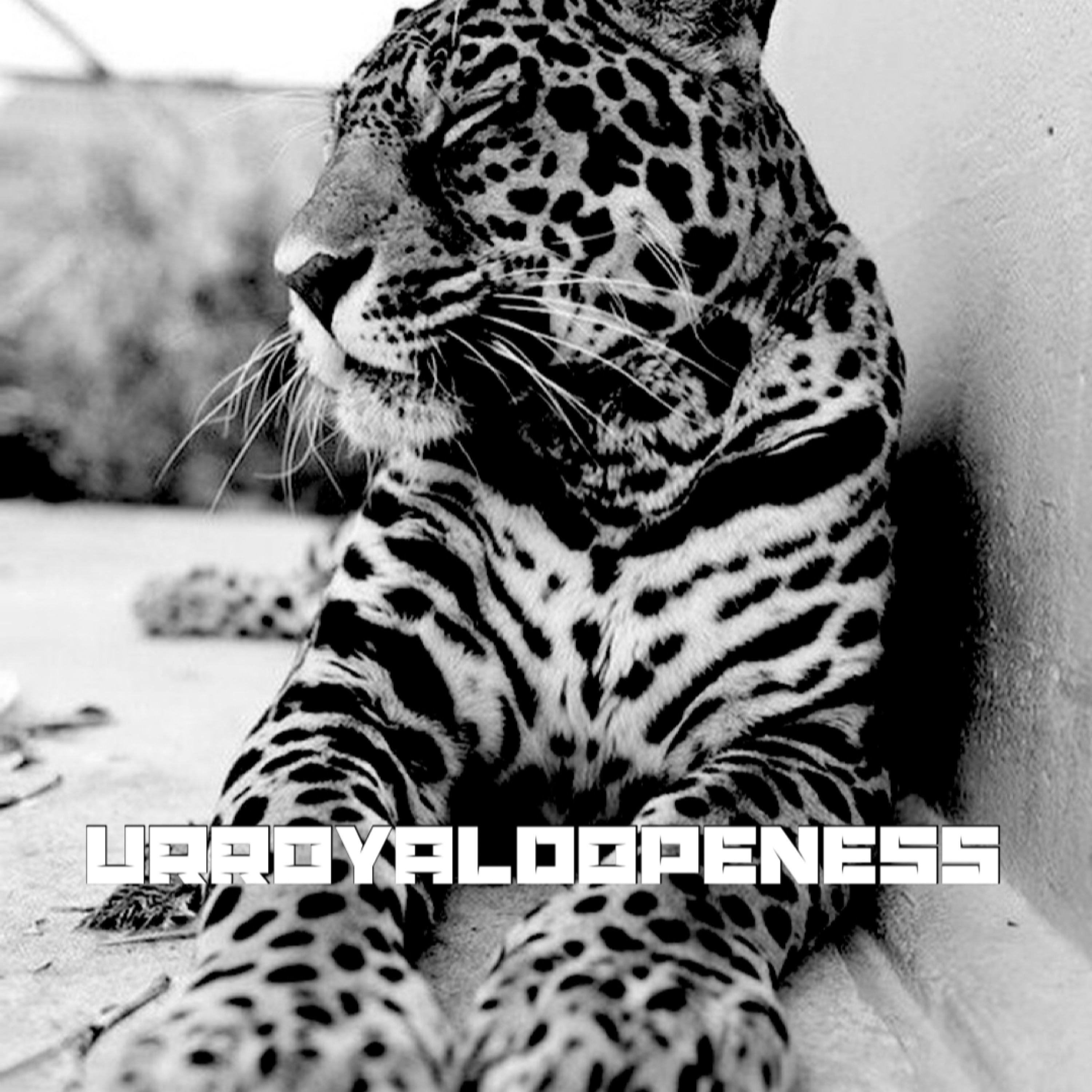 UrRoyalDopeness (Freestyle) artwork