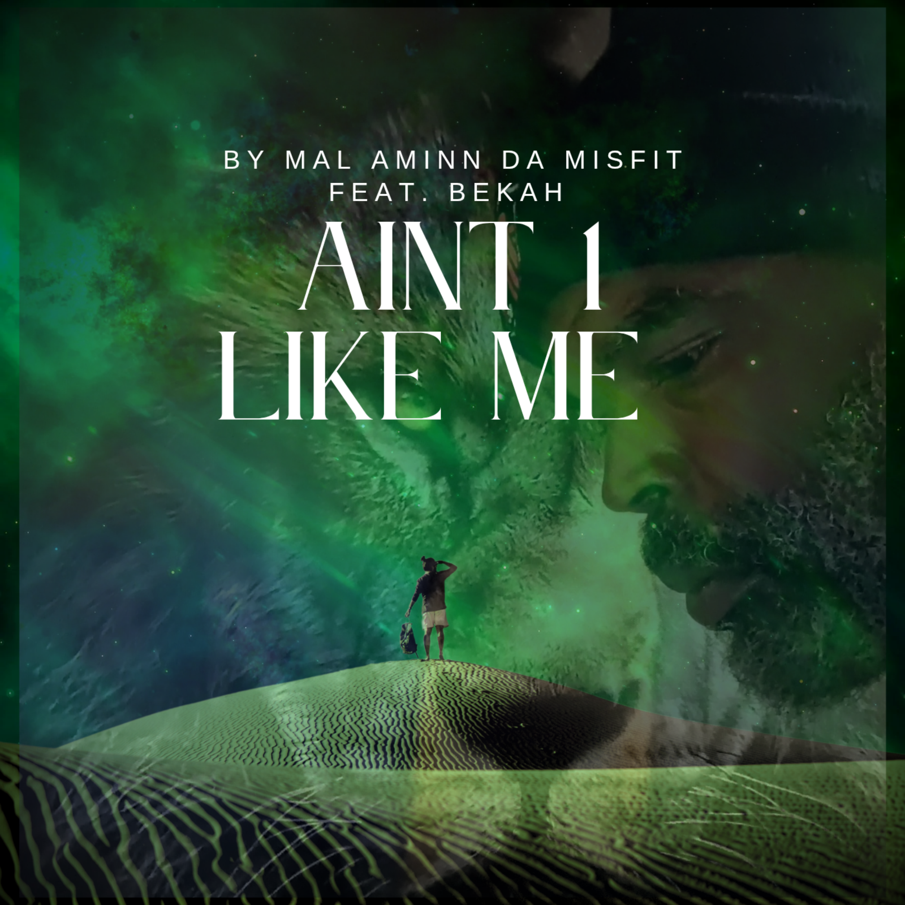 AINT 1 LIKE ME artwork