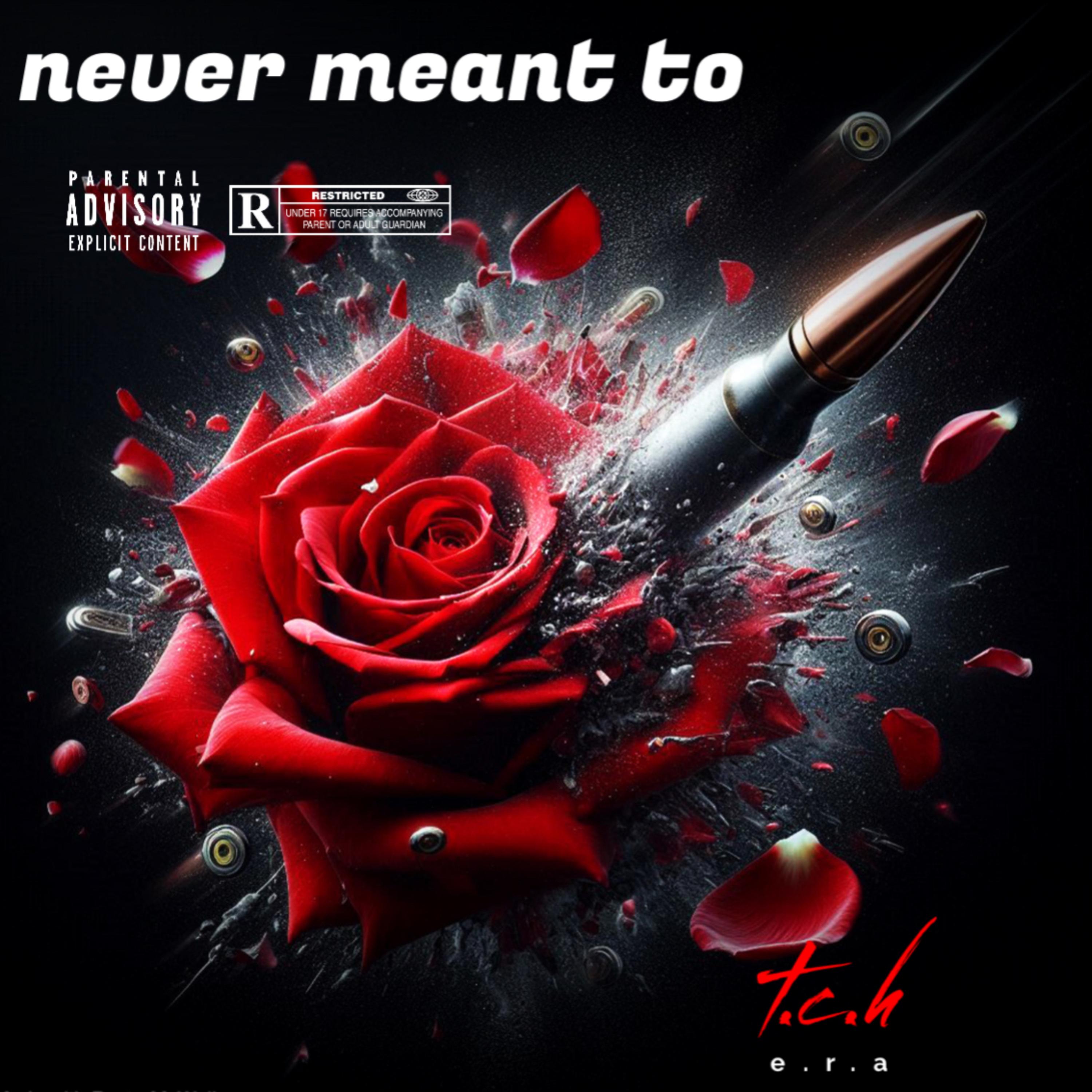 Never Meant To artwork