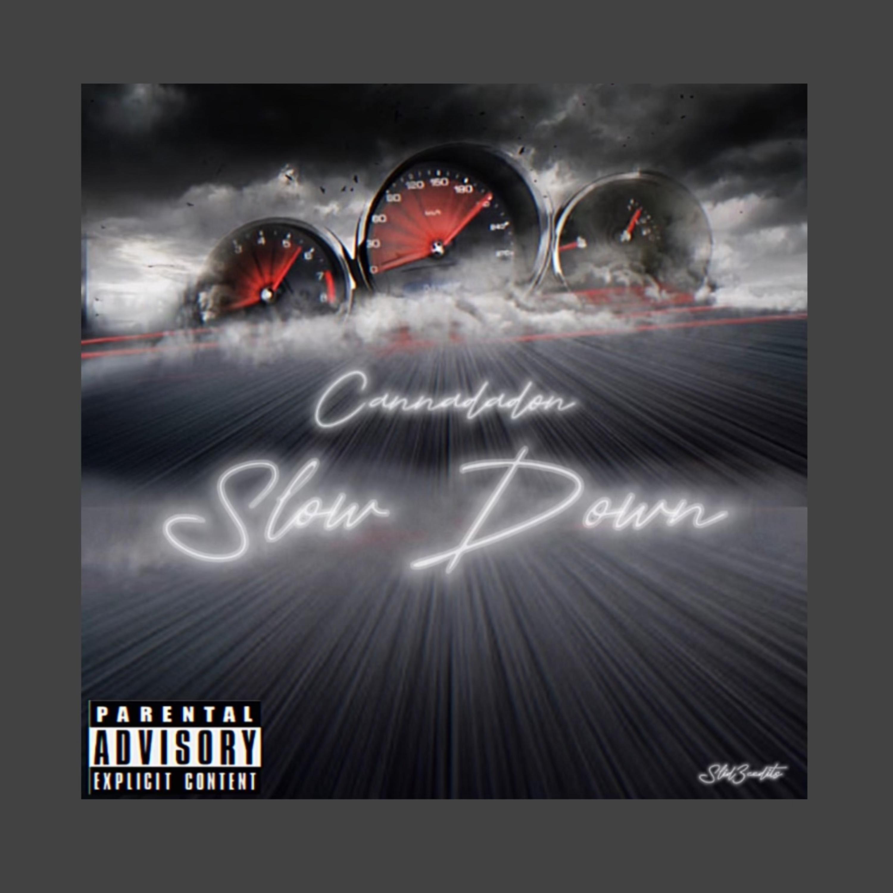 Slow Down by Cannadadon cover art