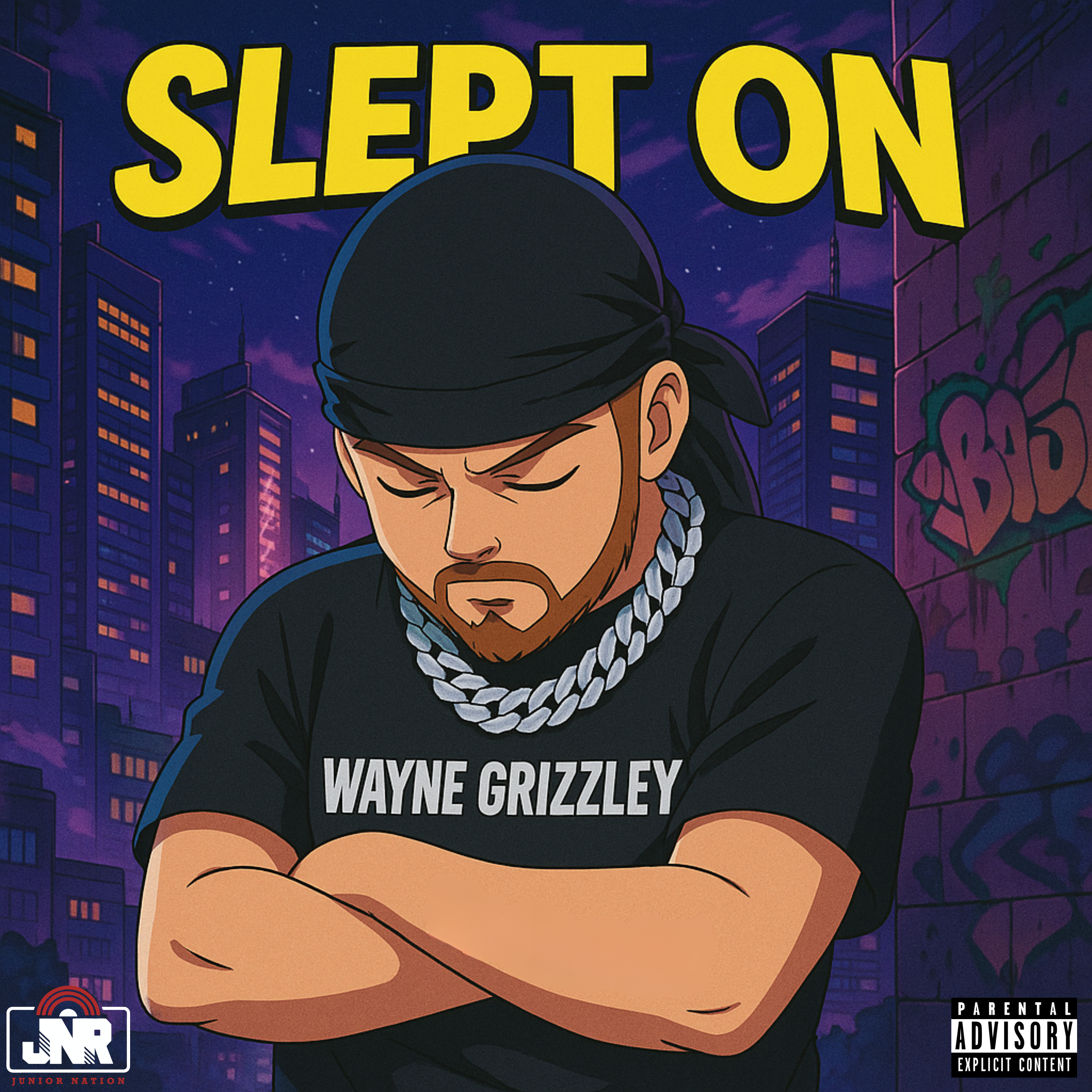 Slept On artwork