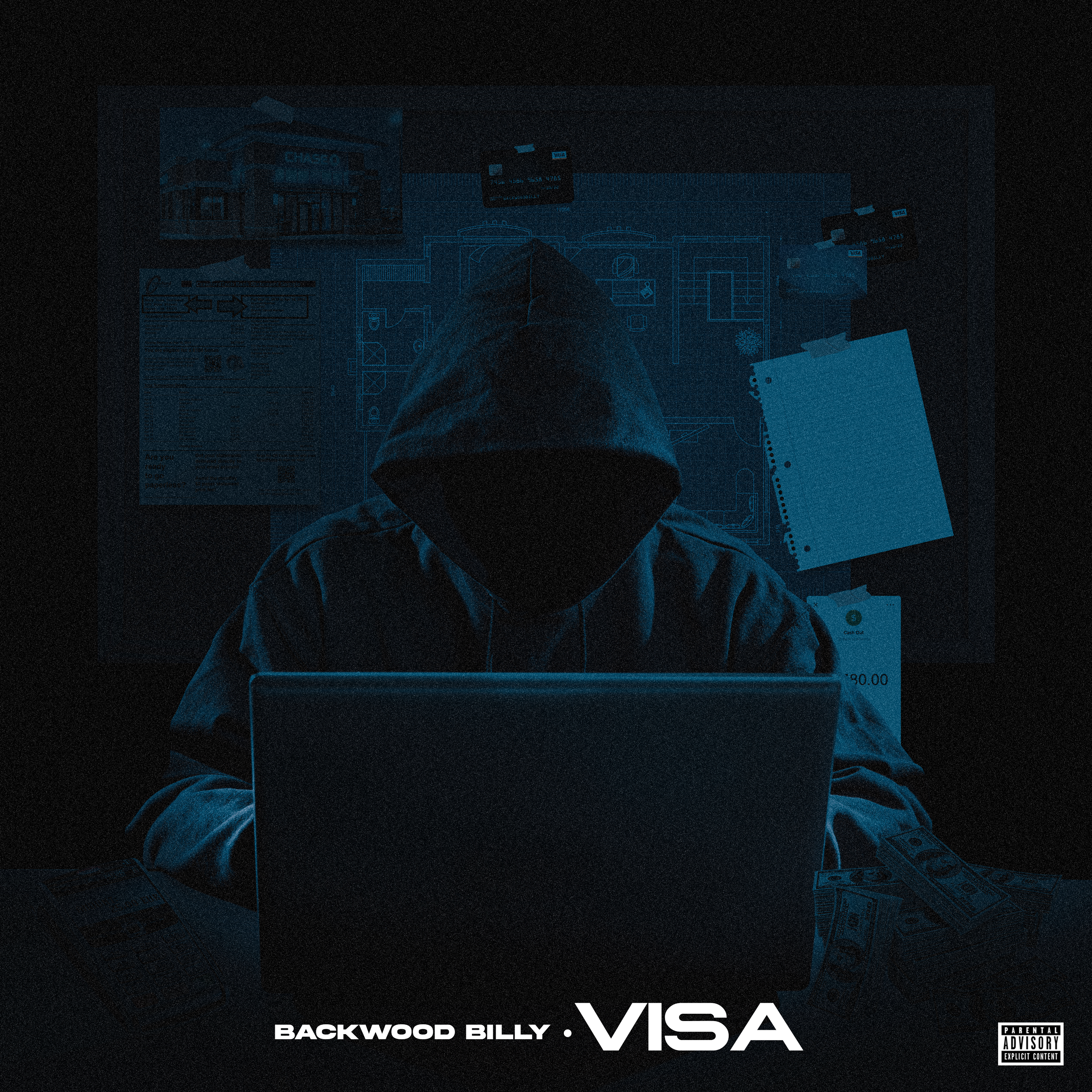 Visa artwork