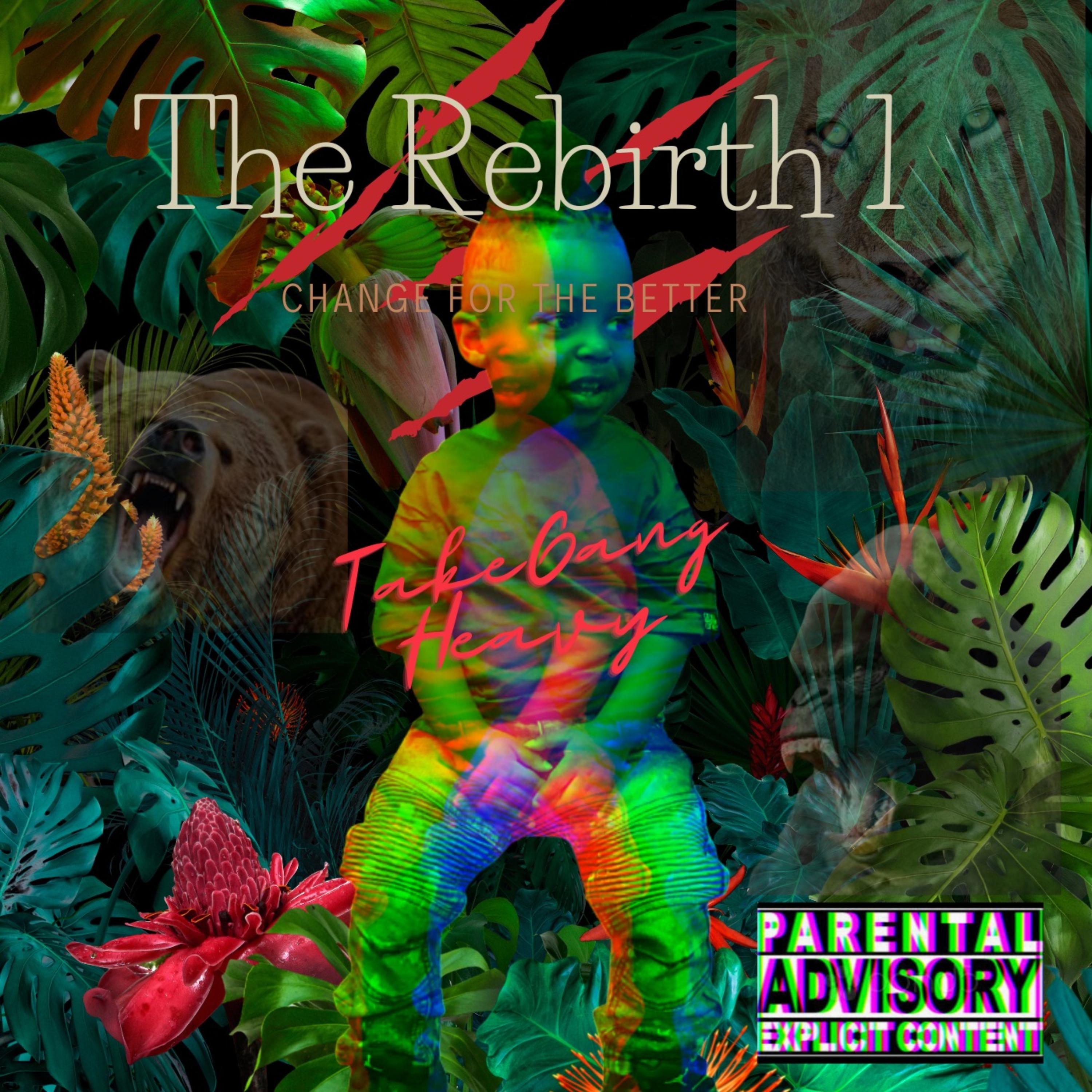 Rebirth 1 artwork