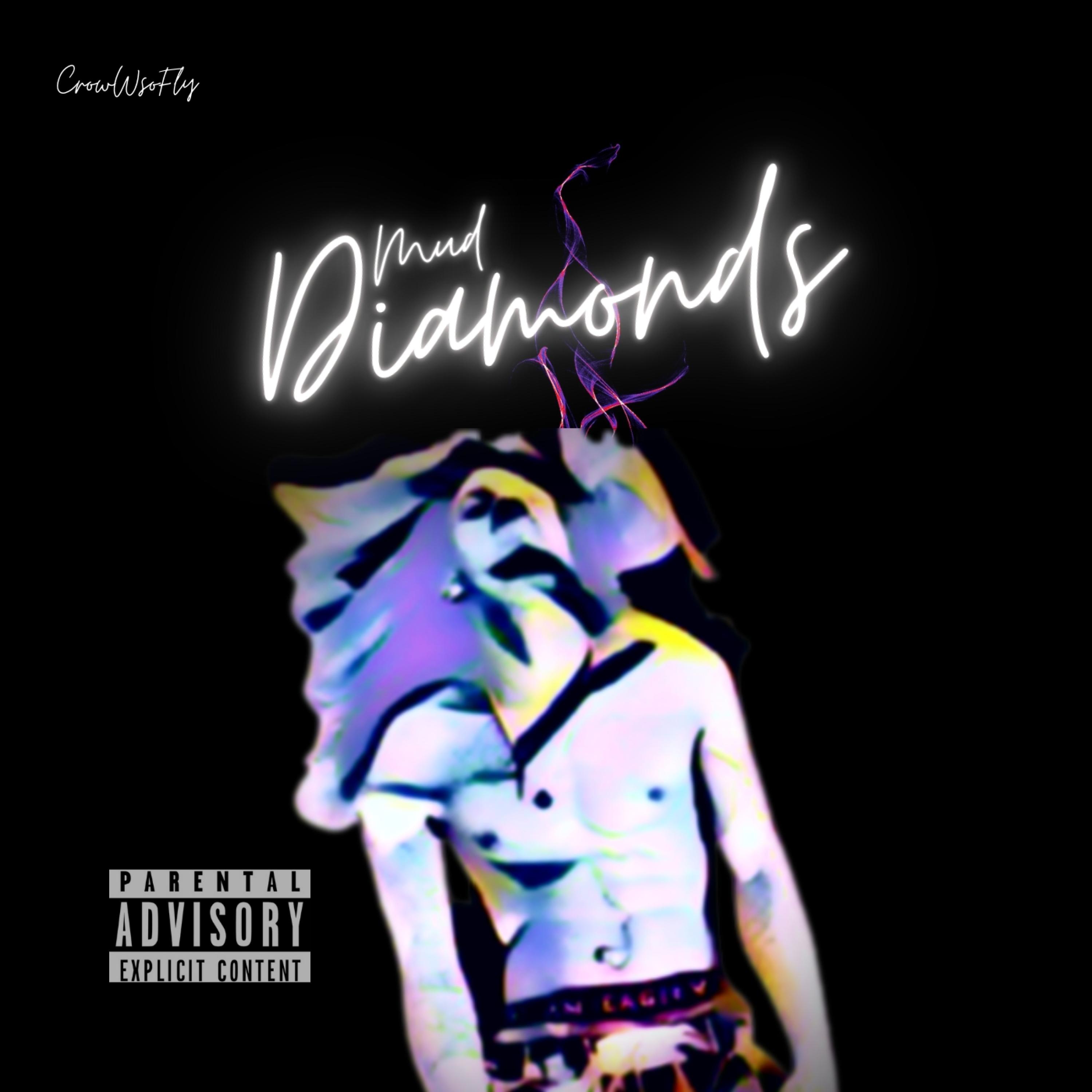 Mud Diamonds by CrowWsoFly cover art