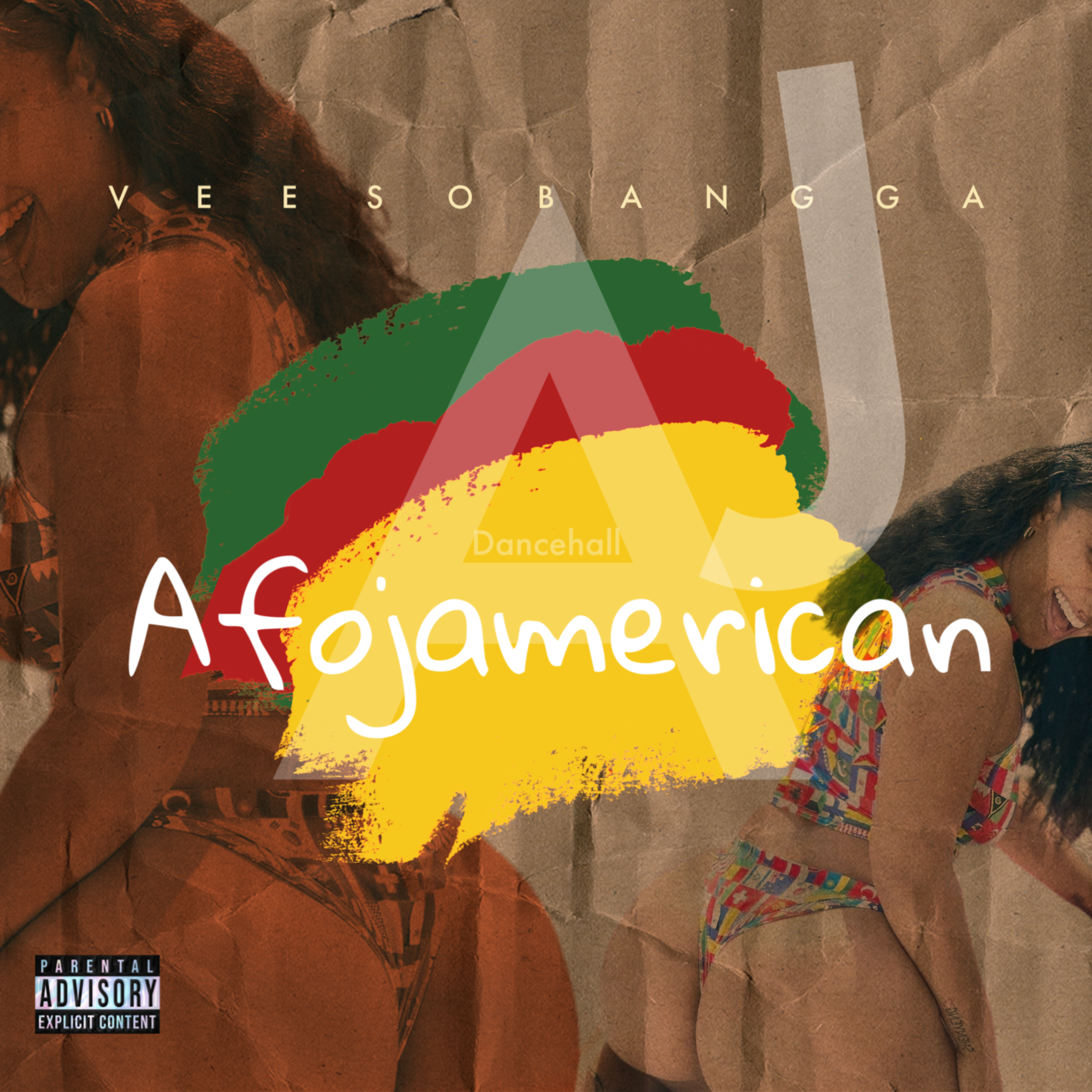 AFROJAMERICAN by Veesobangga cover art