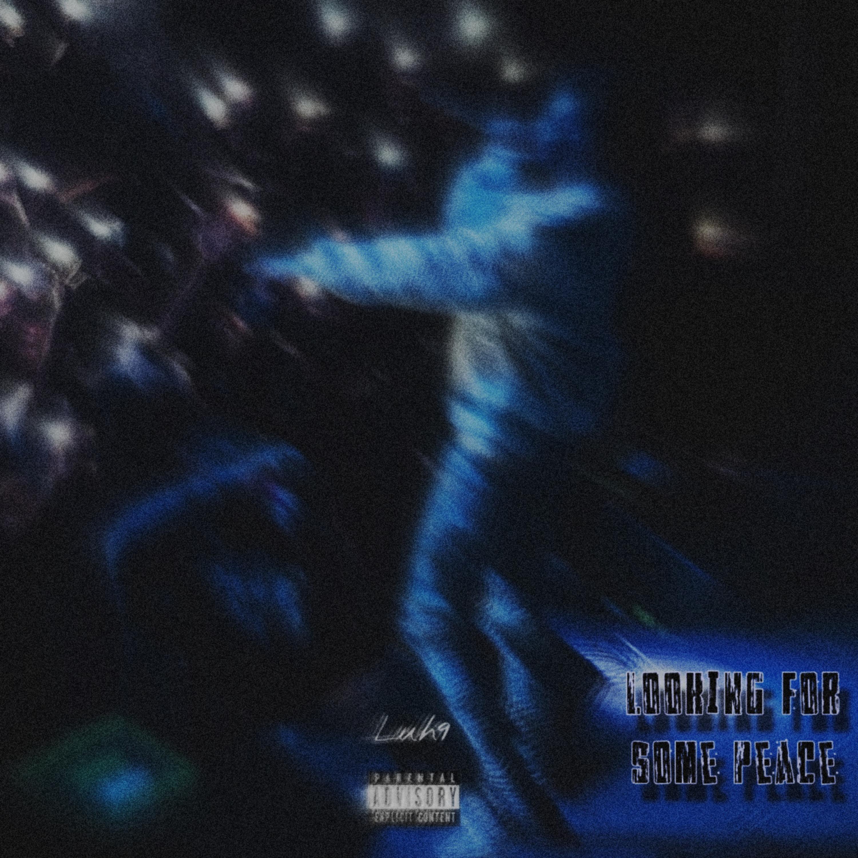 Looking For Some Peace artwork