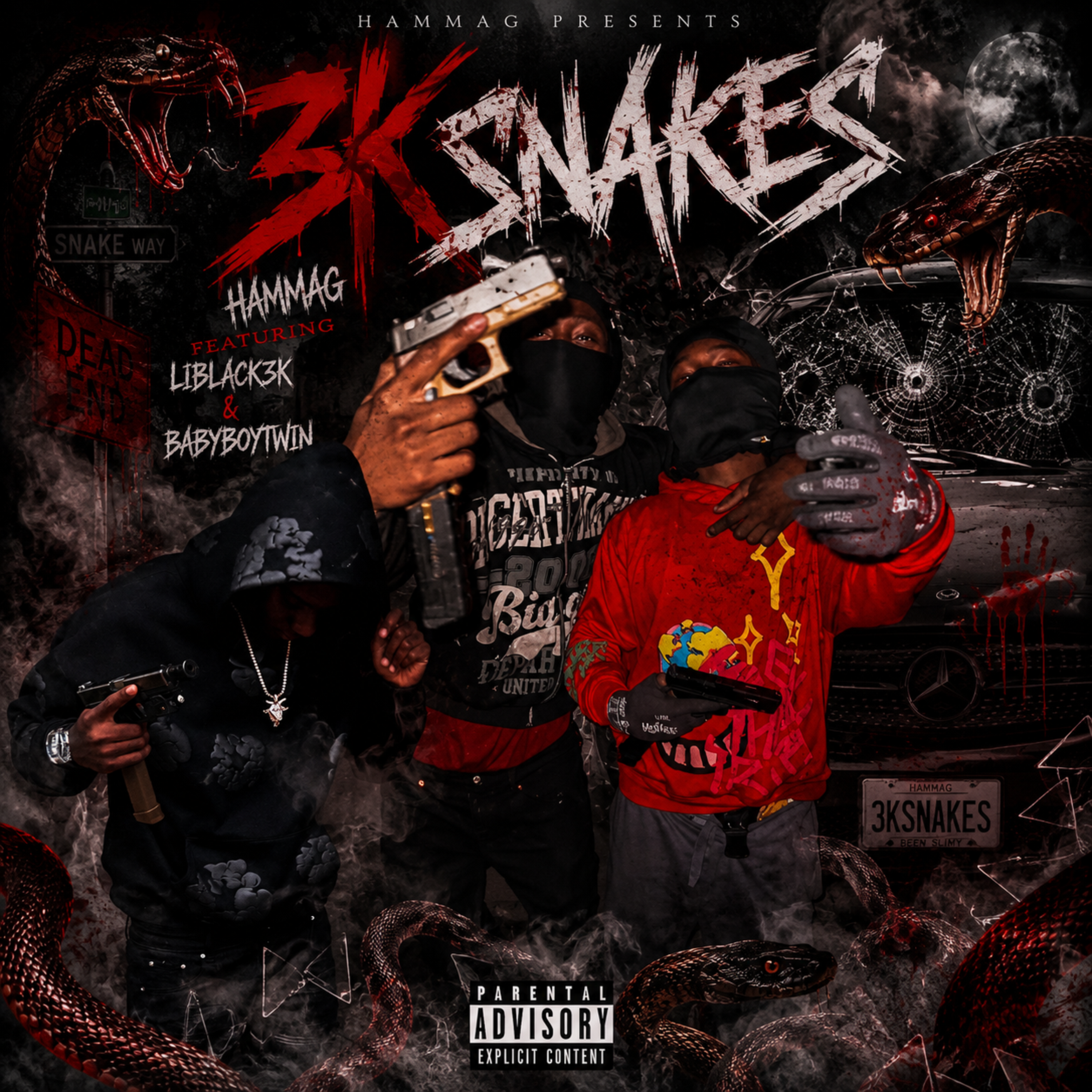 3k Snakes by HammaG cover art