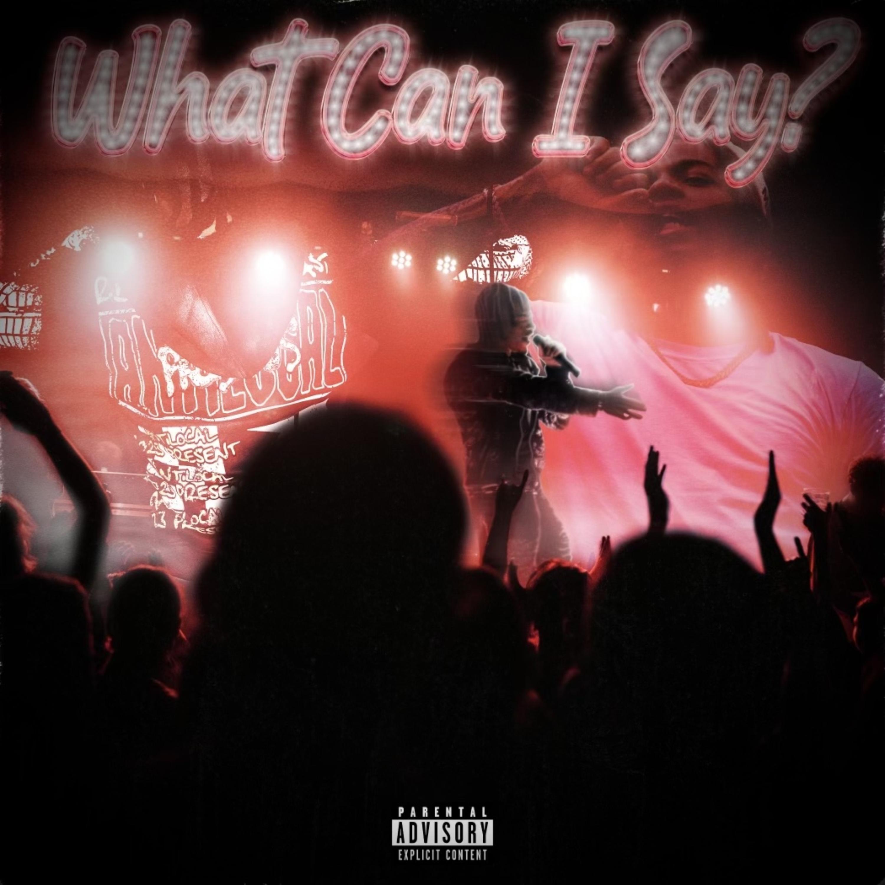 What Can I Say? artwork