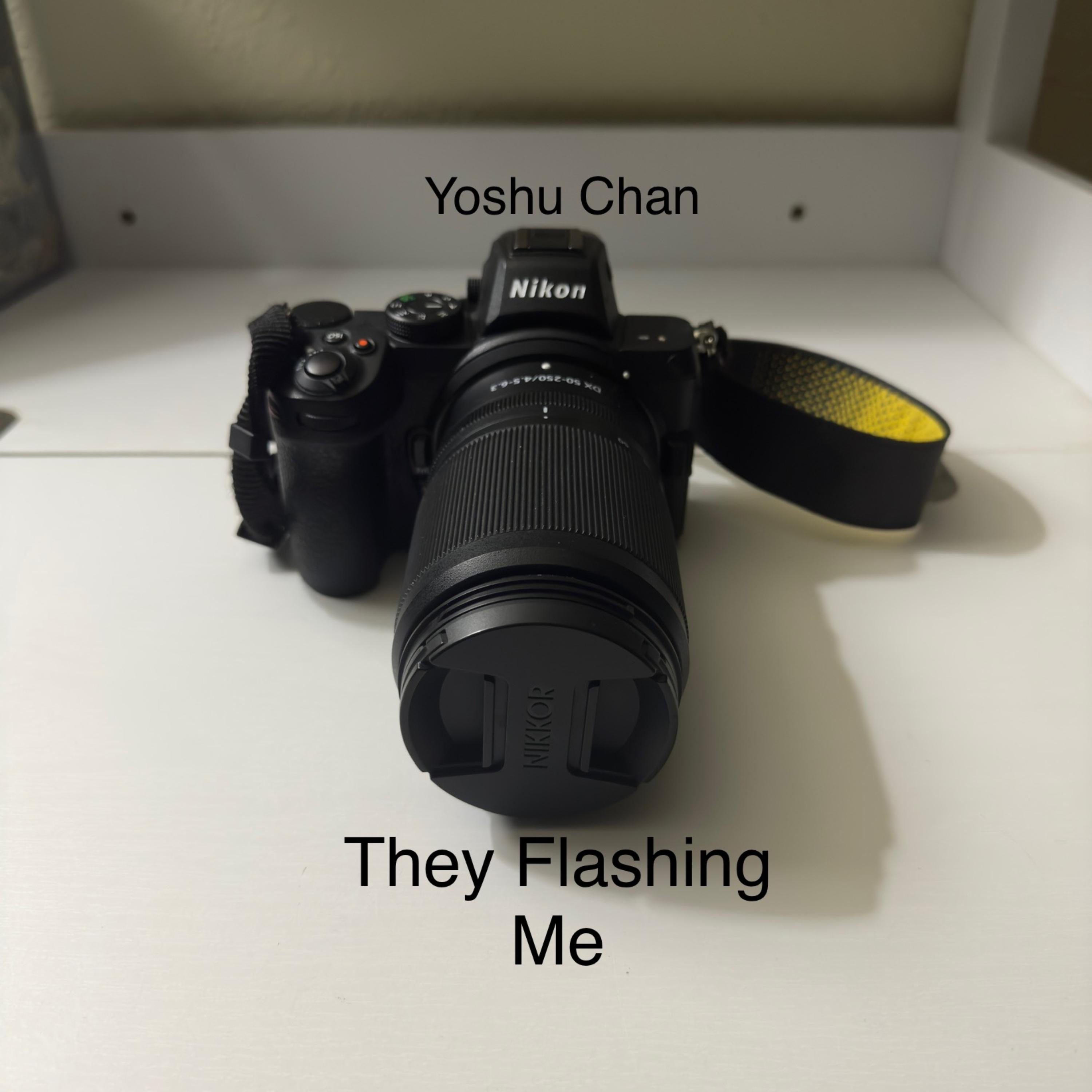 They Flashing Me artwork