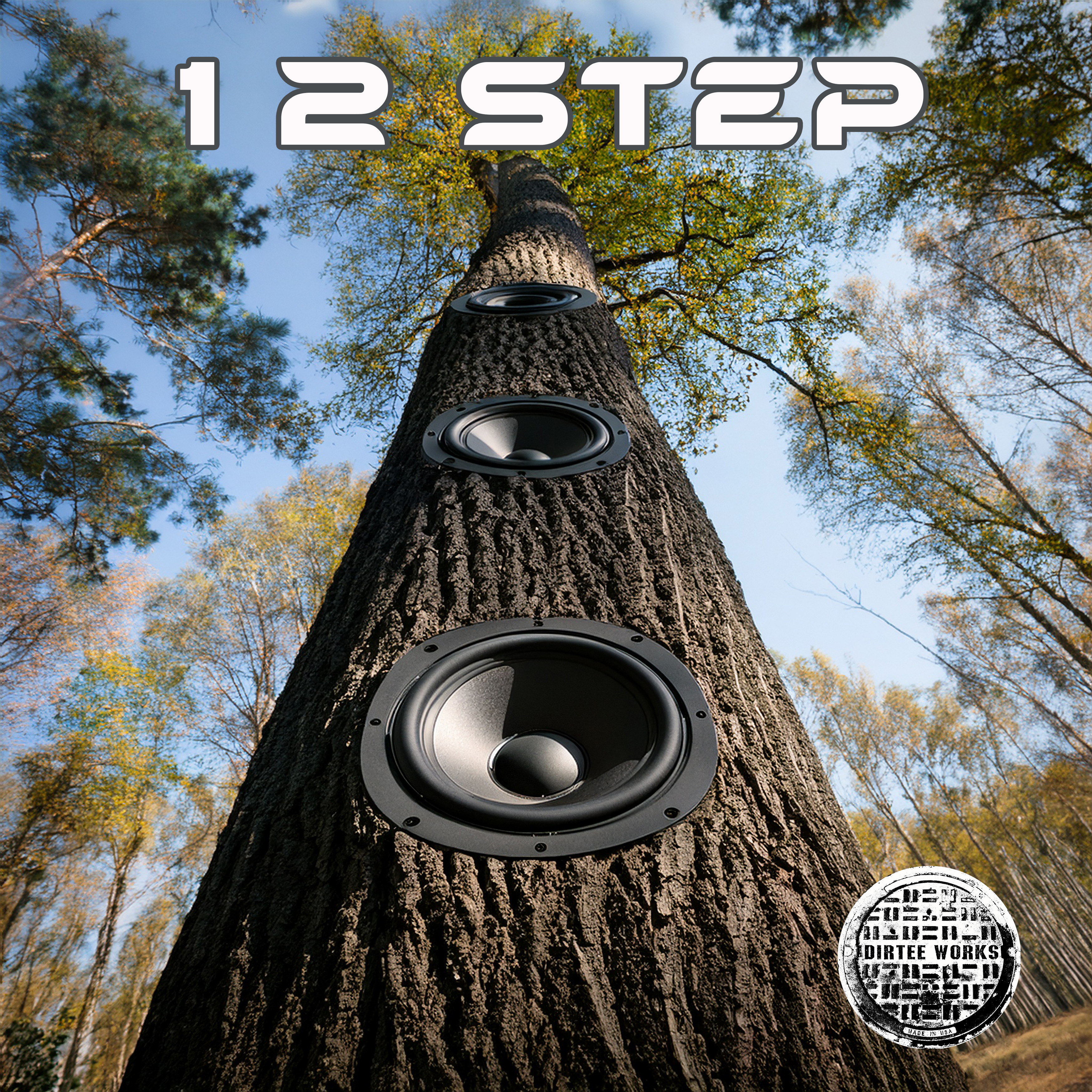 1 2 Step artwork