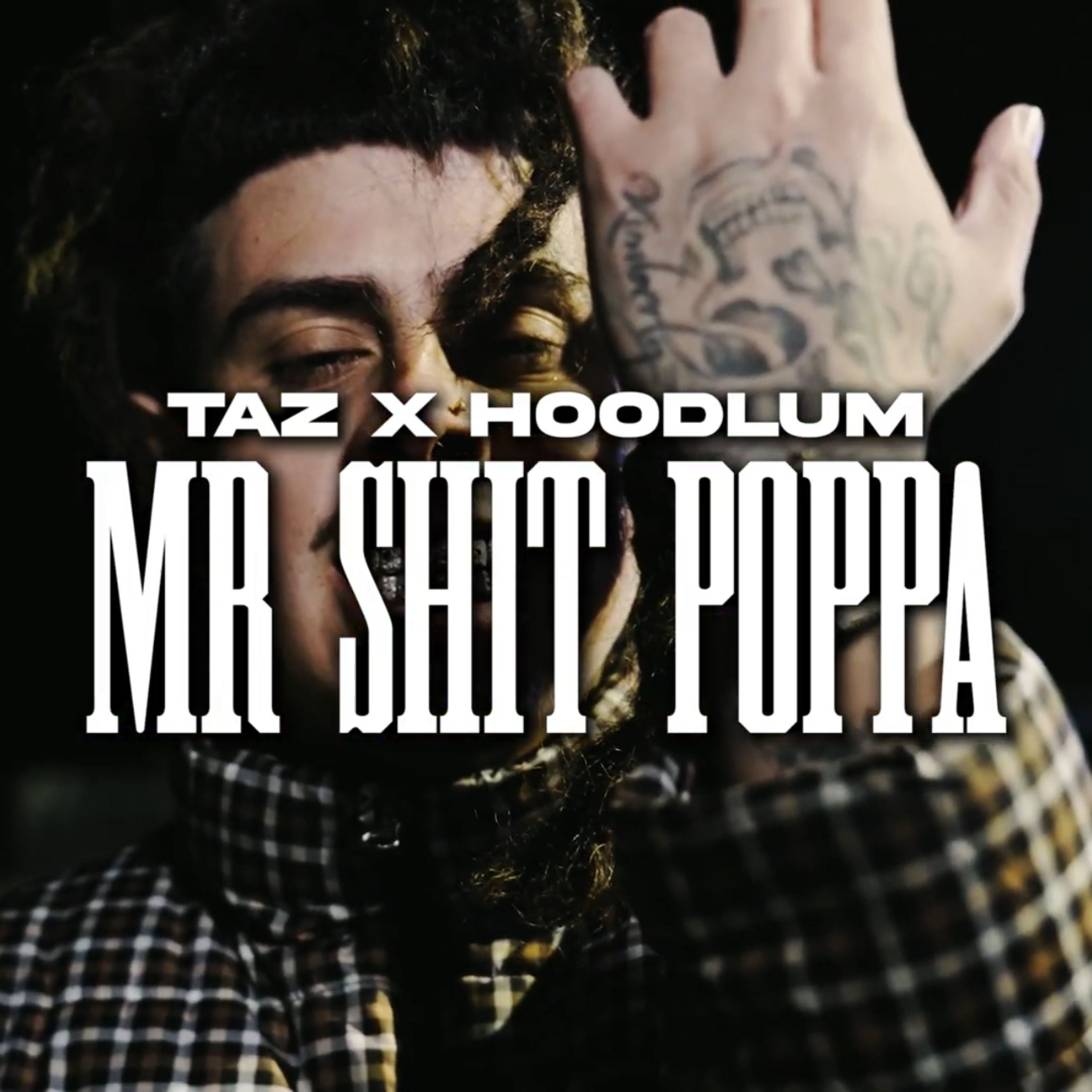 Mr. Shit Poppa artwork