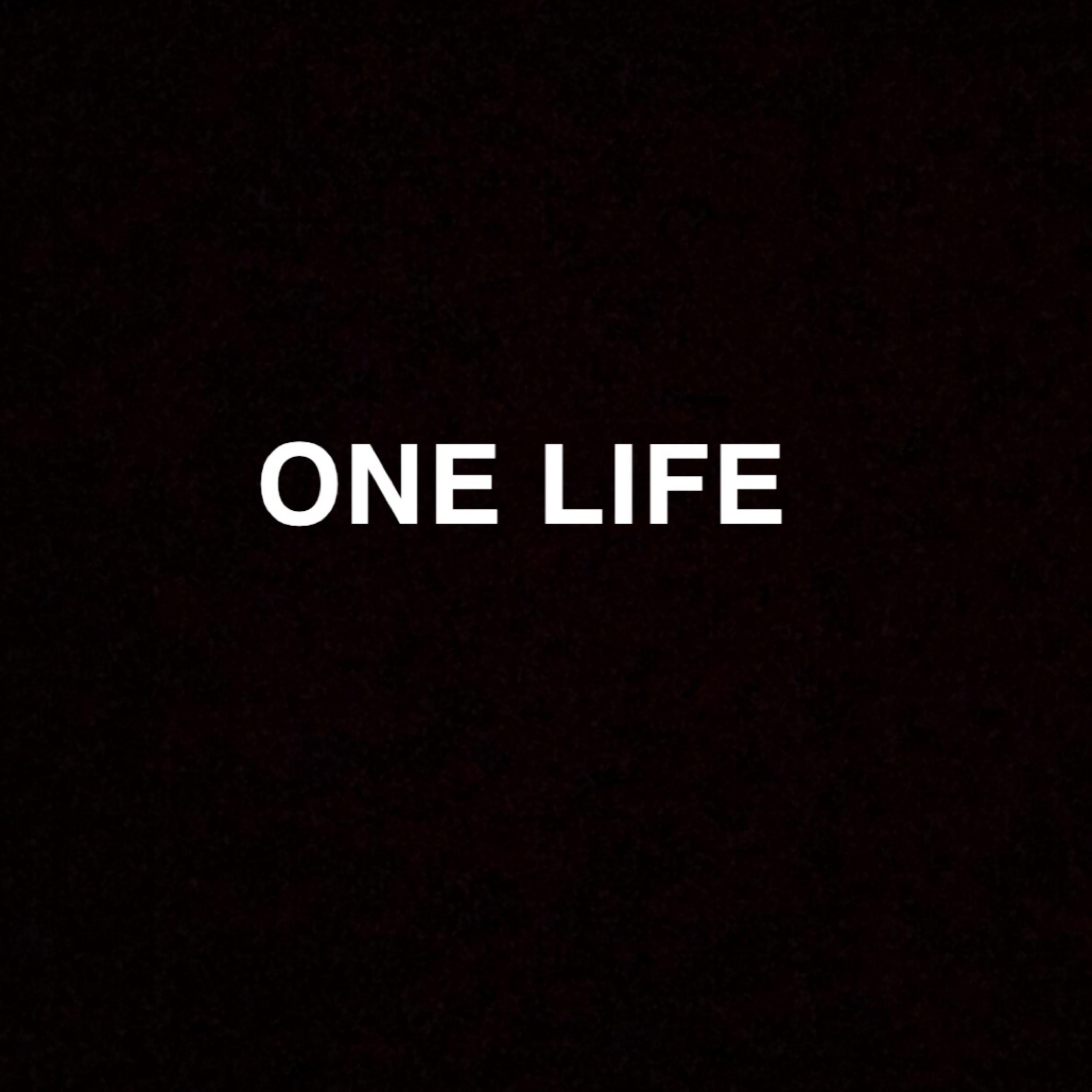 ONE LIFE artwork