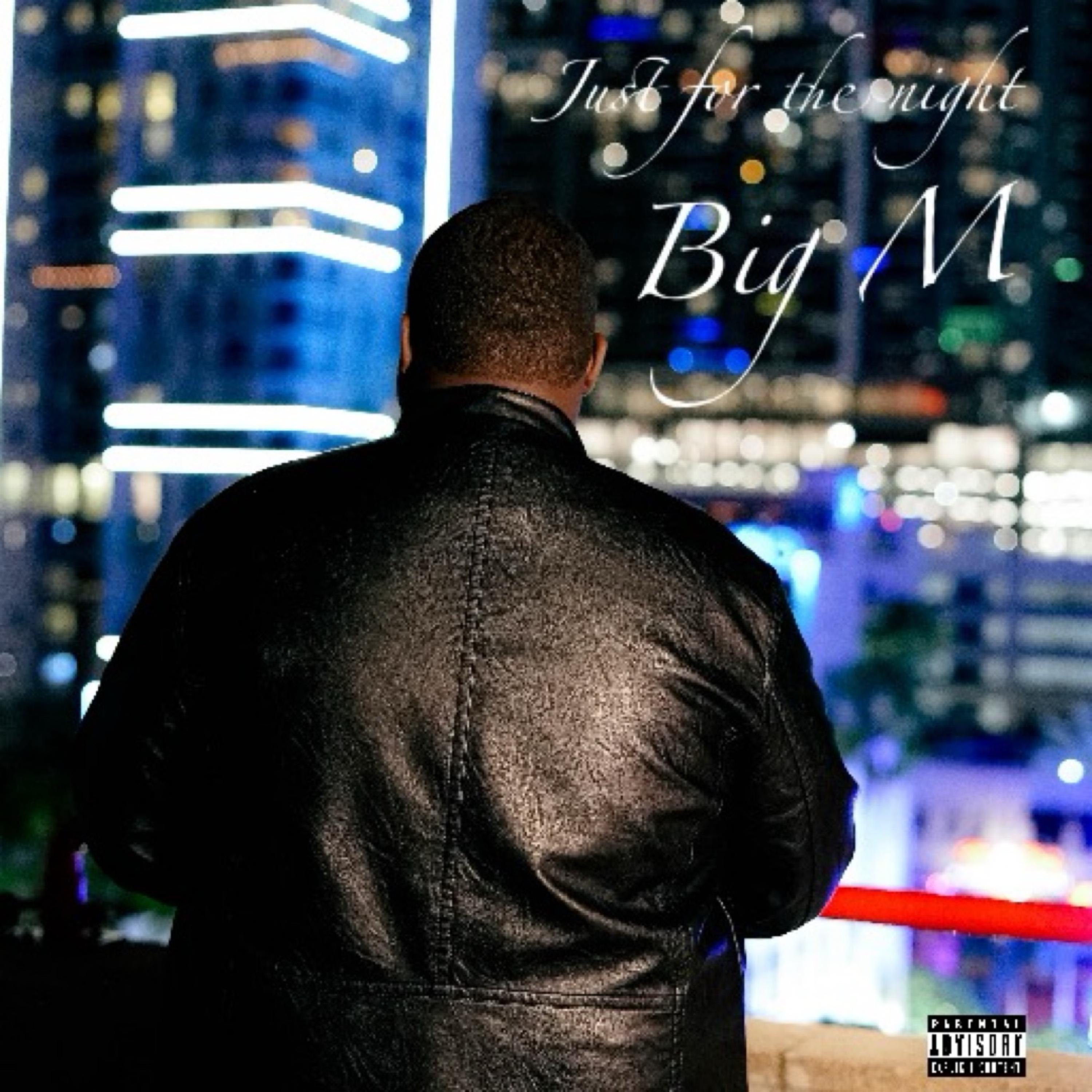 Just For The Night artwork