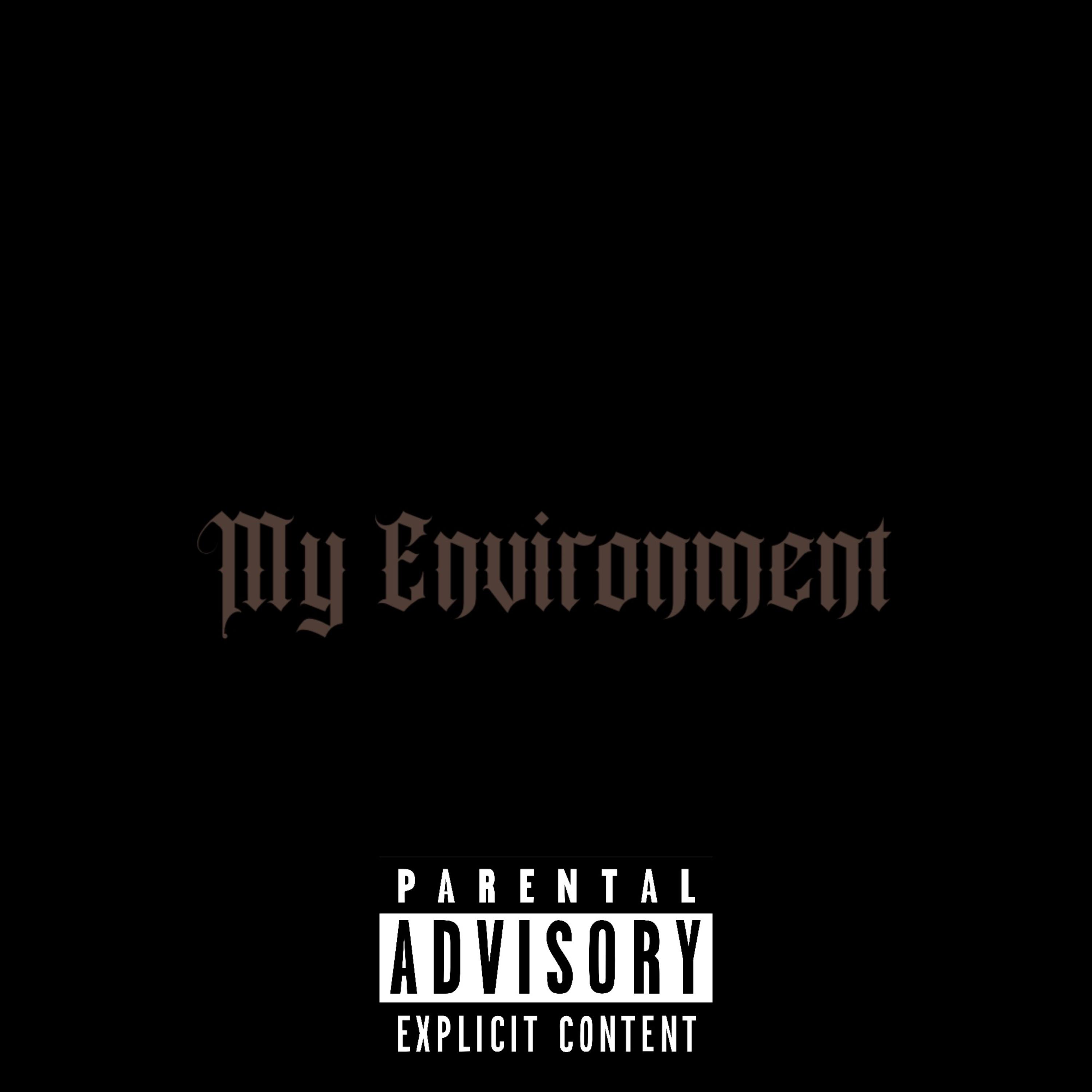 My Environment artwork