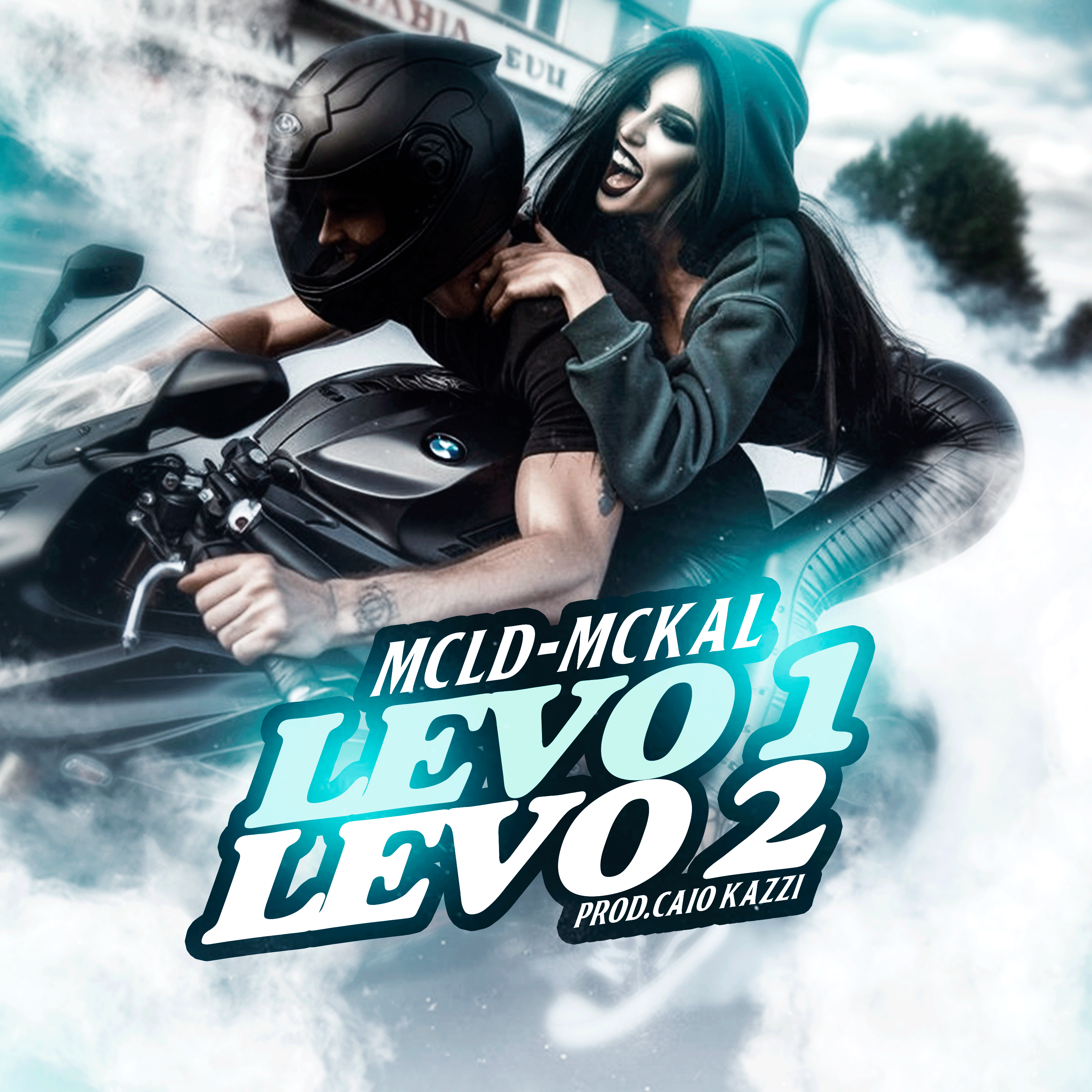LEVO 1 LEVO 2 artwork