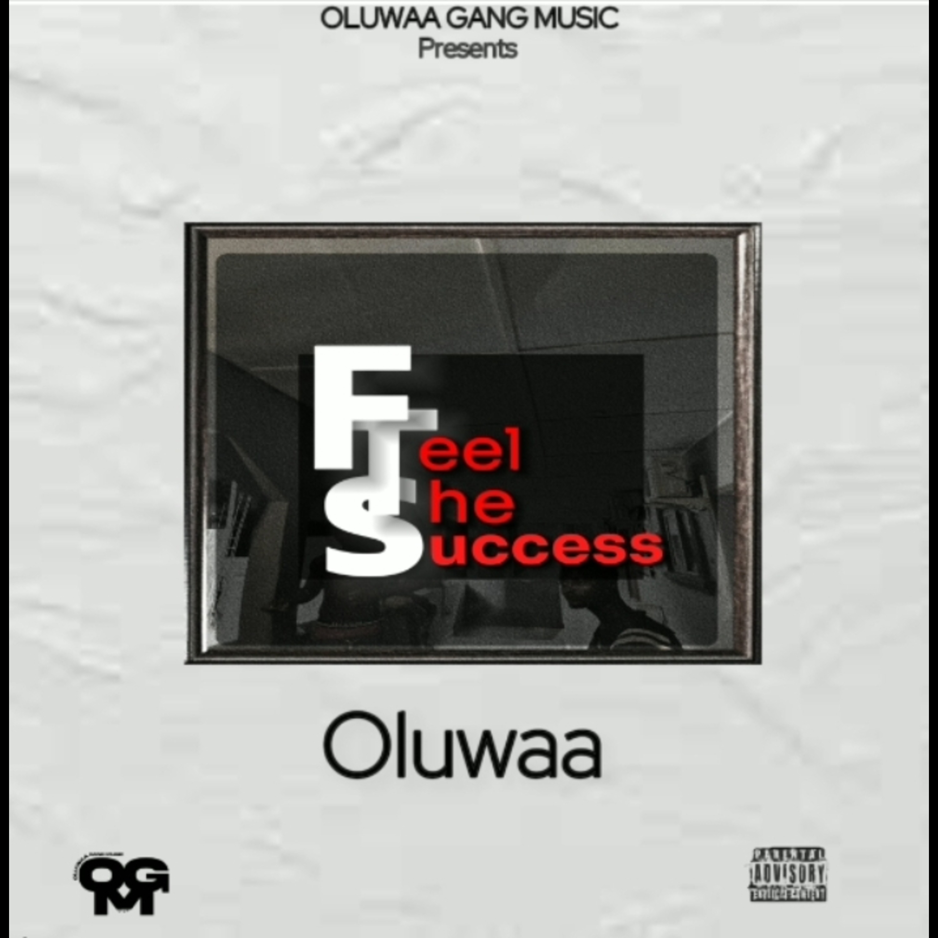 Feel The Success artwork