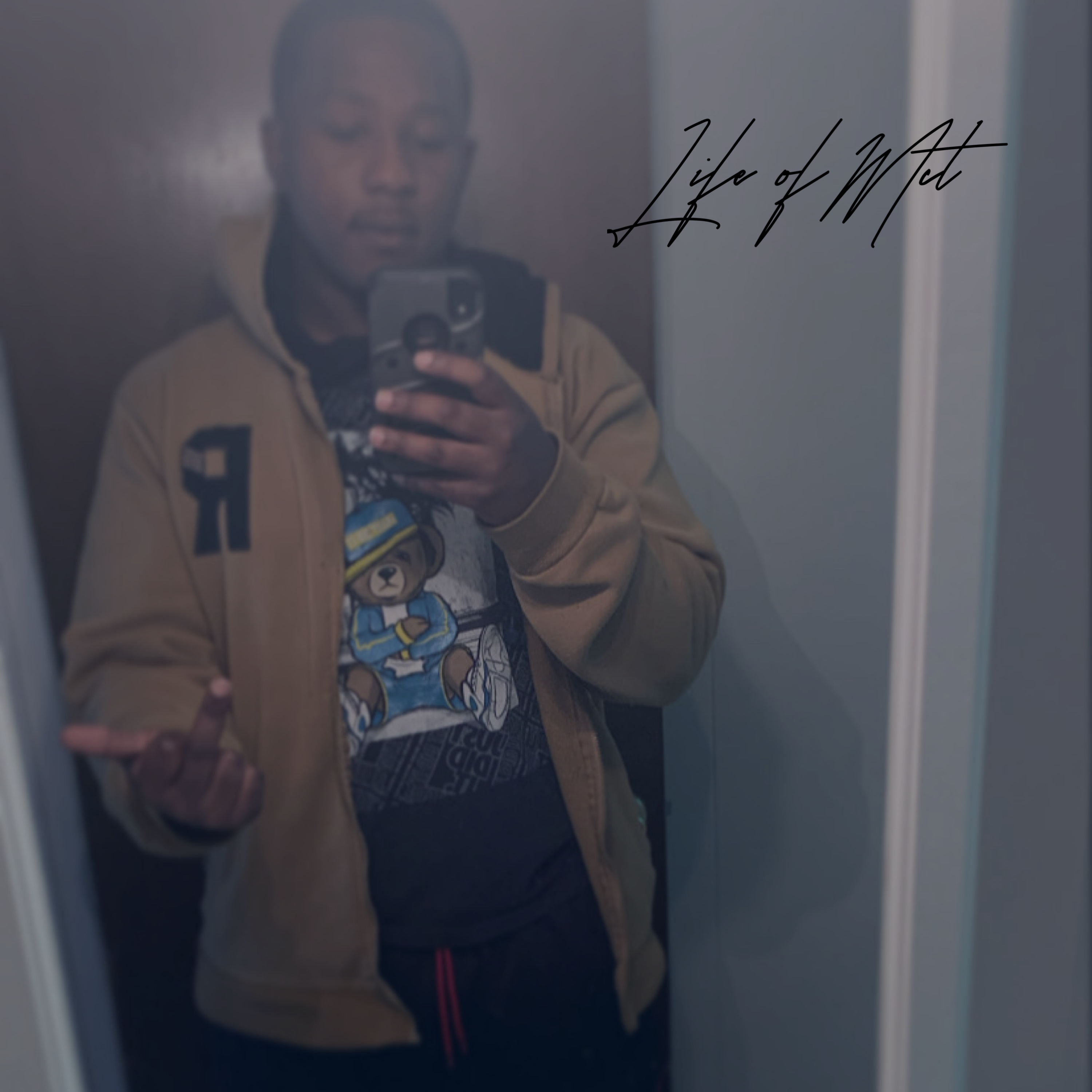 Life of Mct artwork
