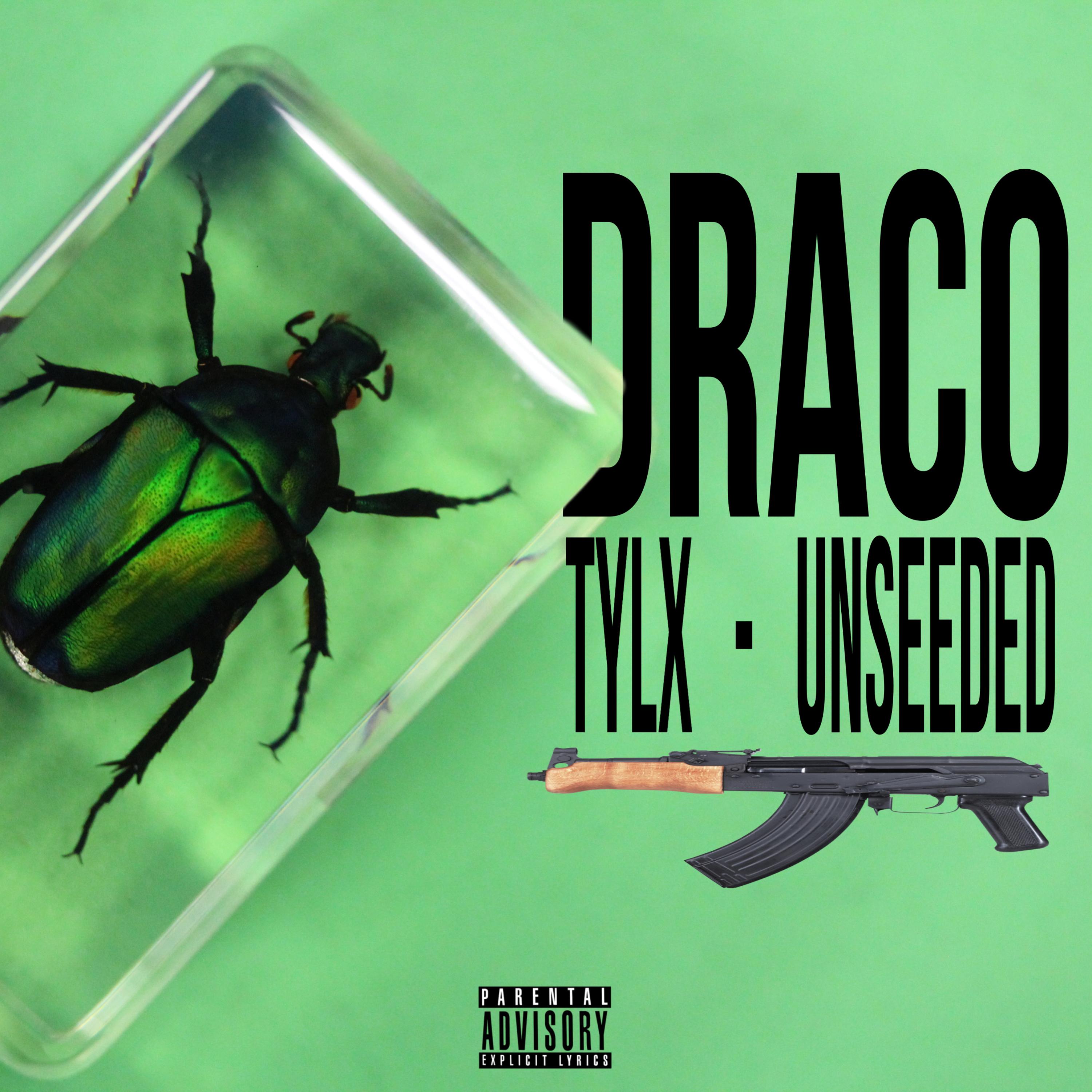 Draco artwork