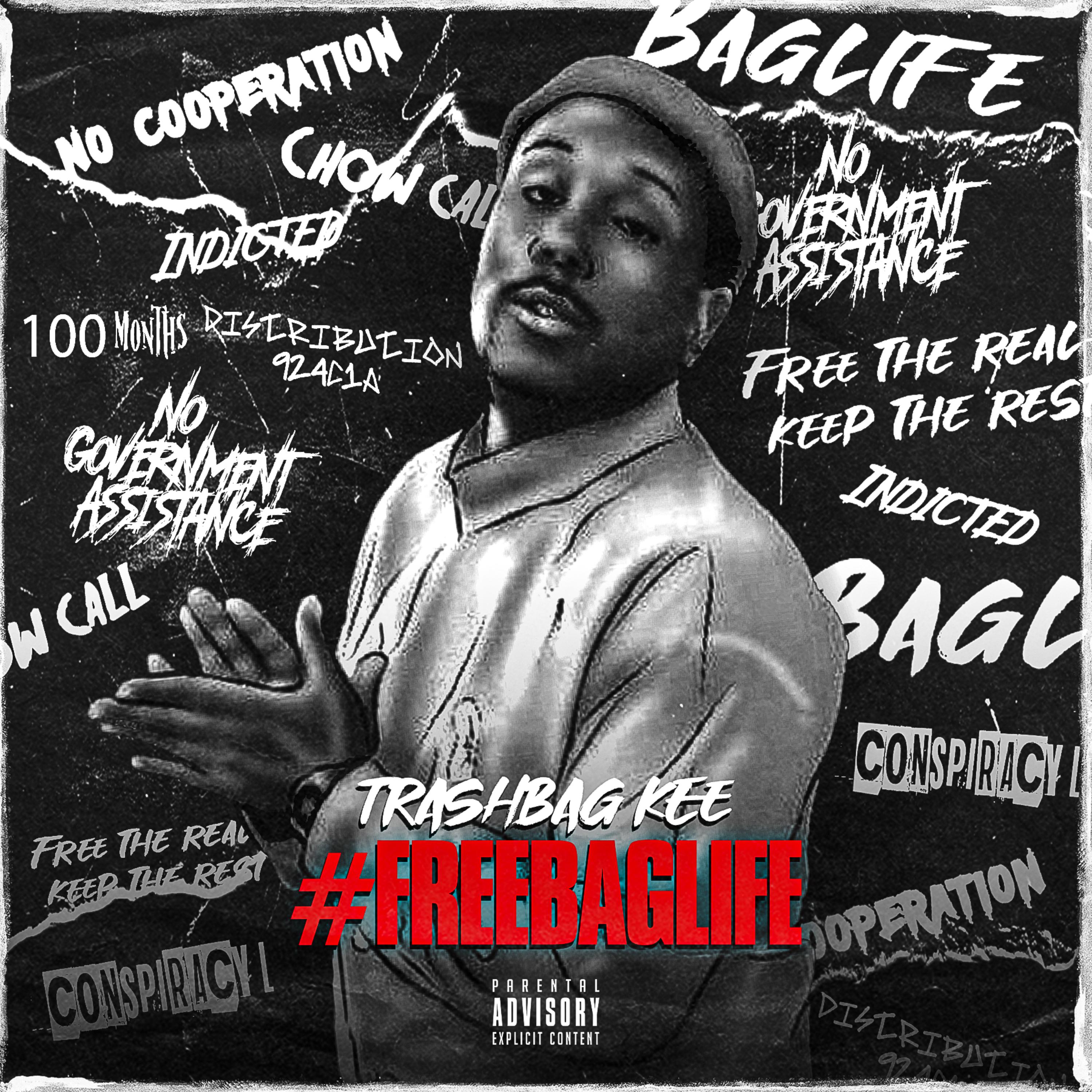 Free Baglife artwork