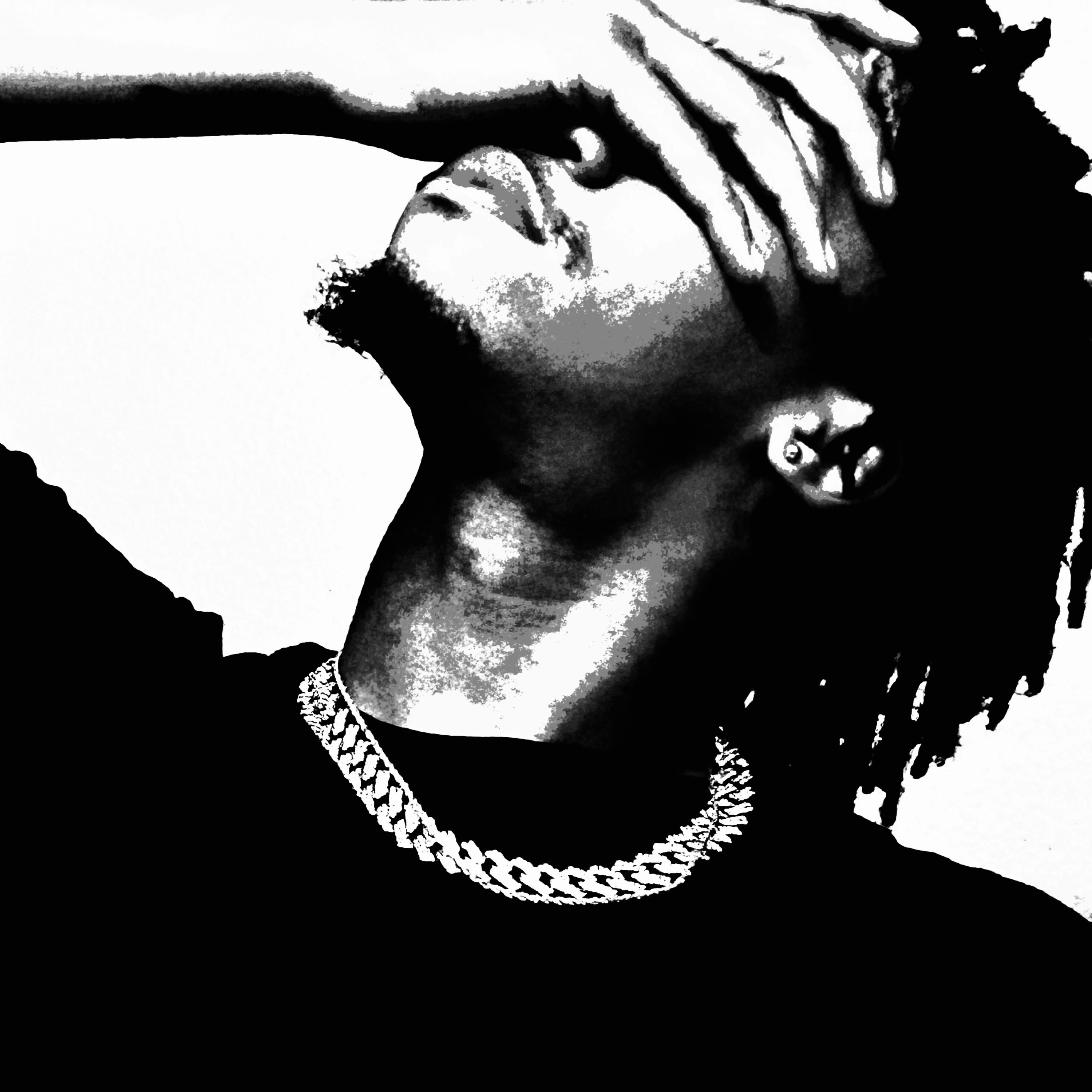 YOU COULD NEVER!! artwork