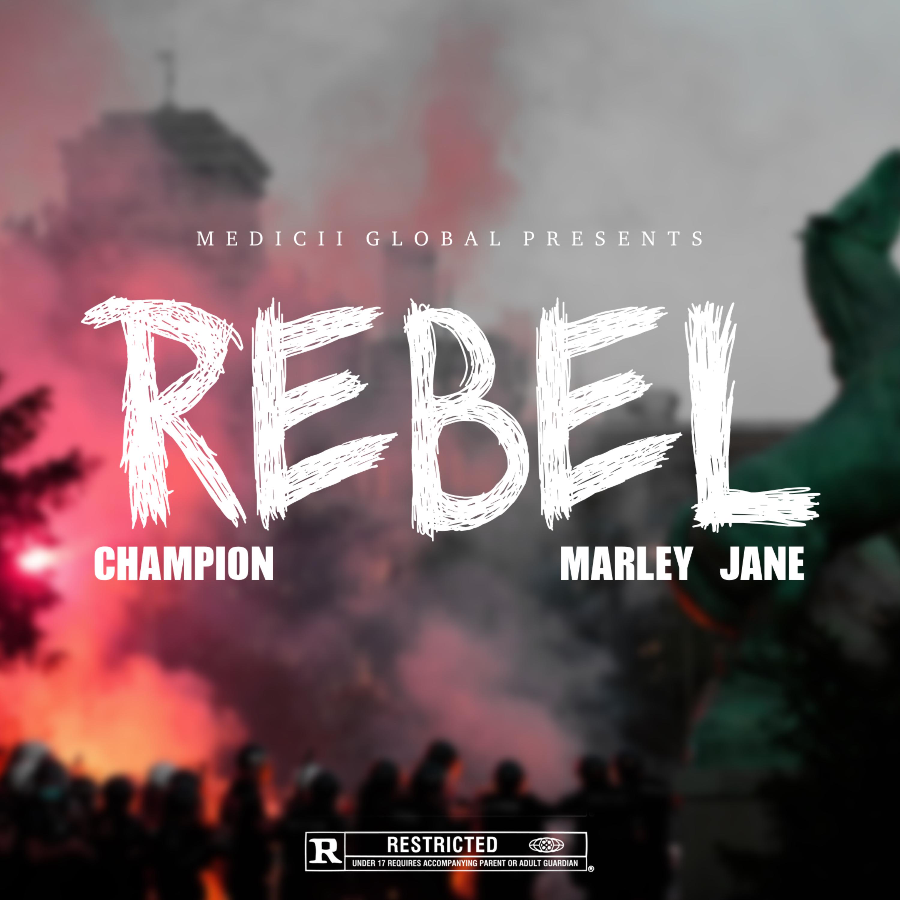 Rebel artwork